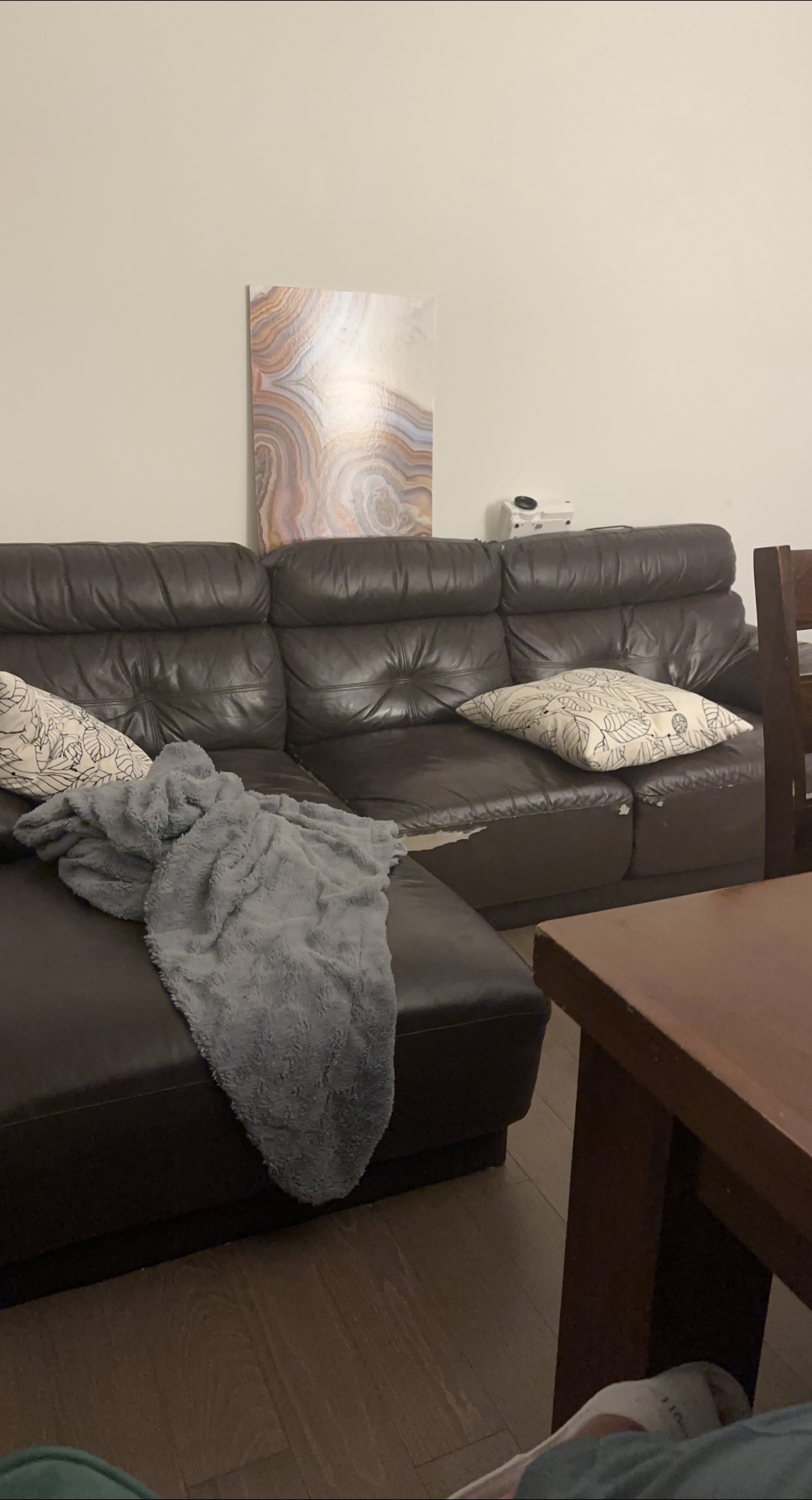 Brown Leather Sectional Couch with Chaise