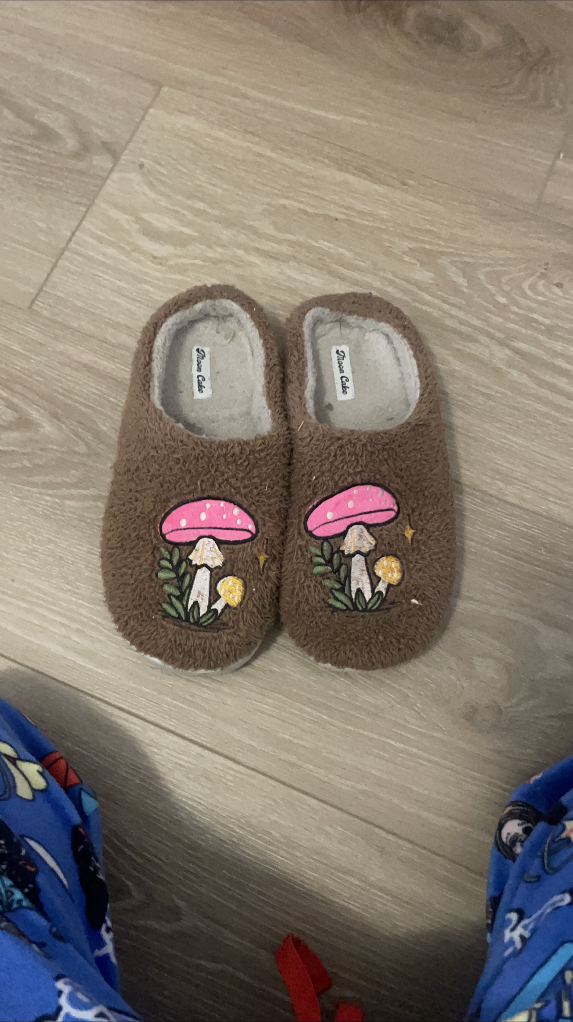 Moon Cake Brown Mushroom Slippers thumbnail