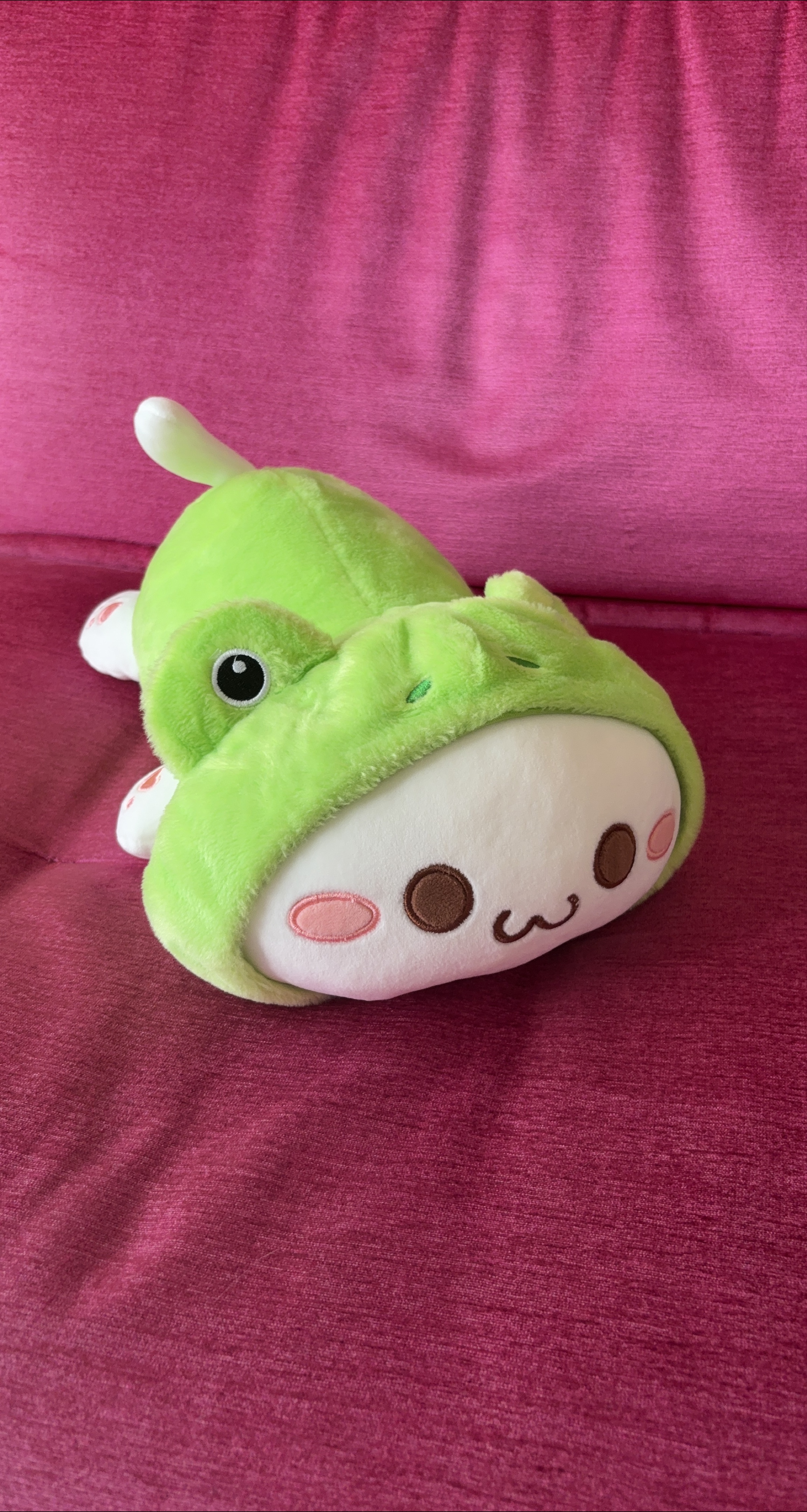 Cute Green Frog Cat Plushie thumbnail