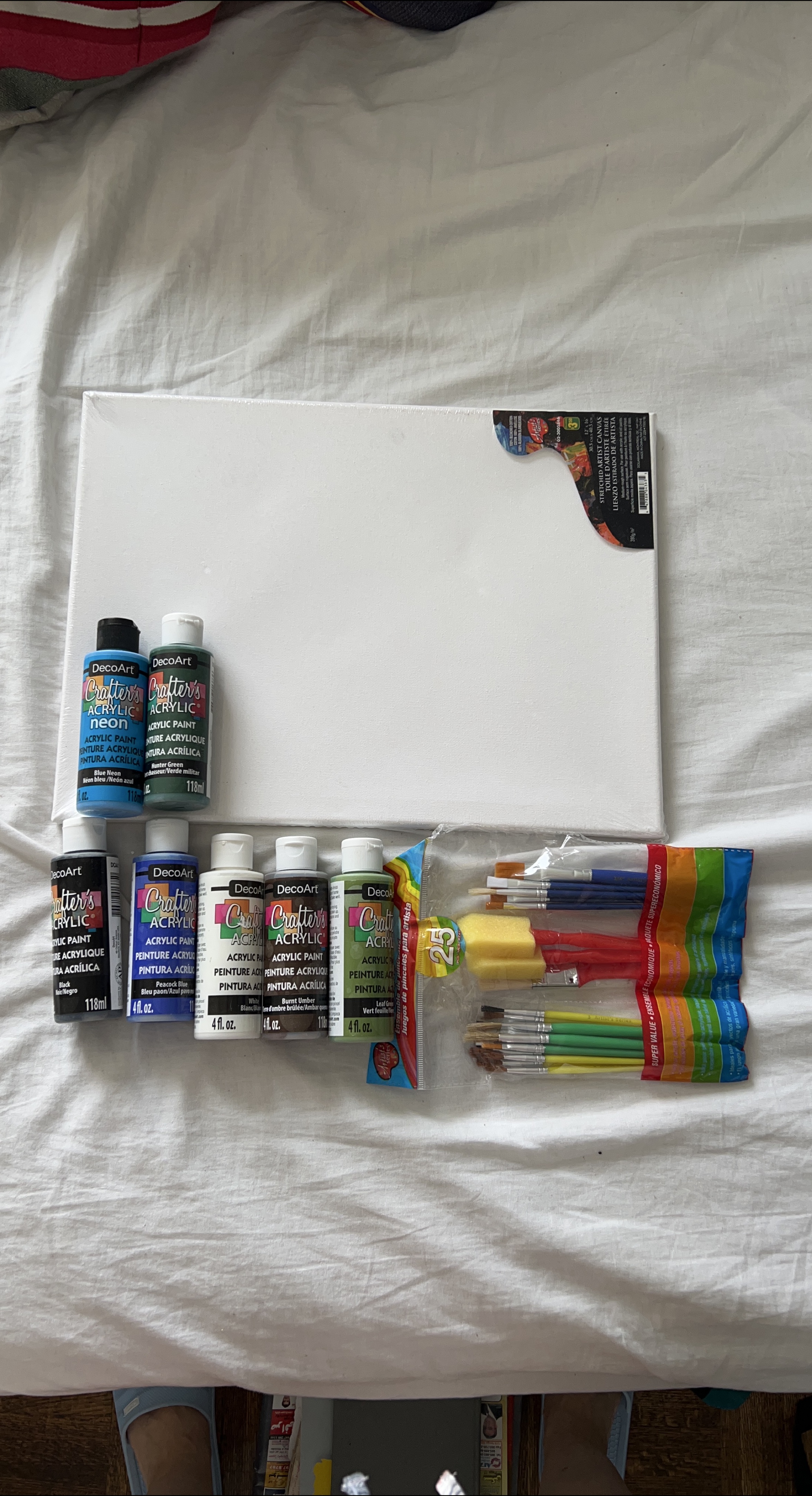 DecoArt Acrylic Paint Set with Canvas and Brushes thumbnail