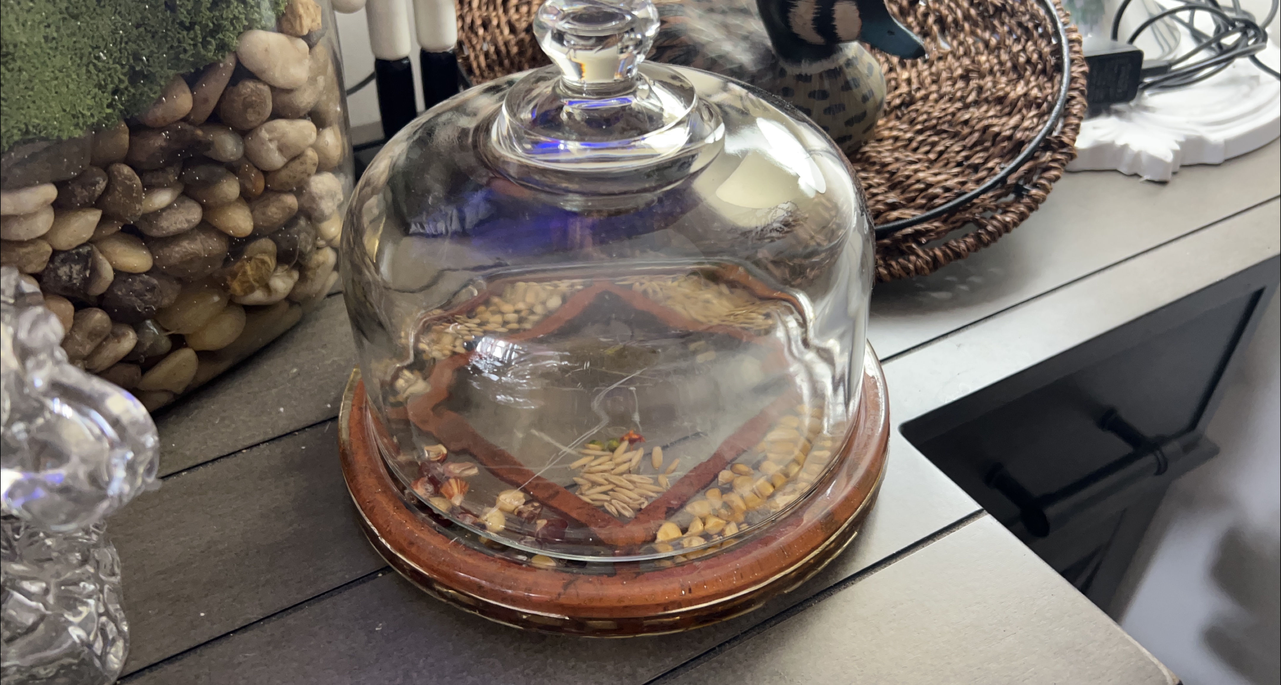 Glass Cloche Dome with Wooden Base thumbnail