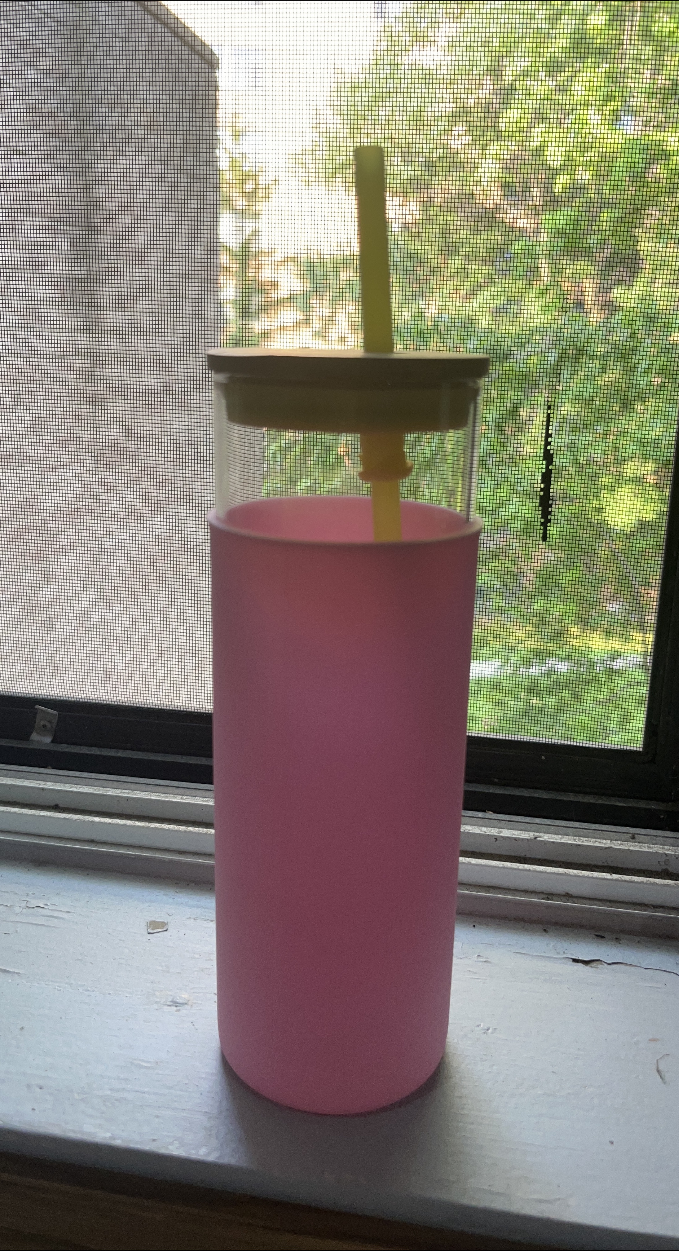 Pink Glass Tumbler with Straw thumbnail