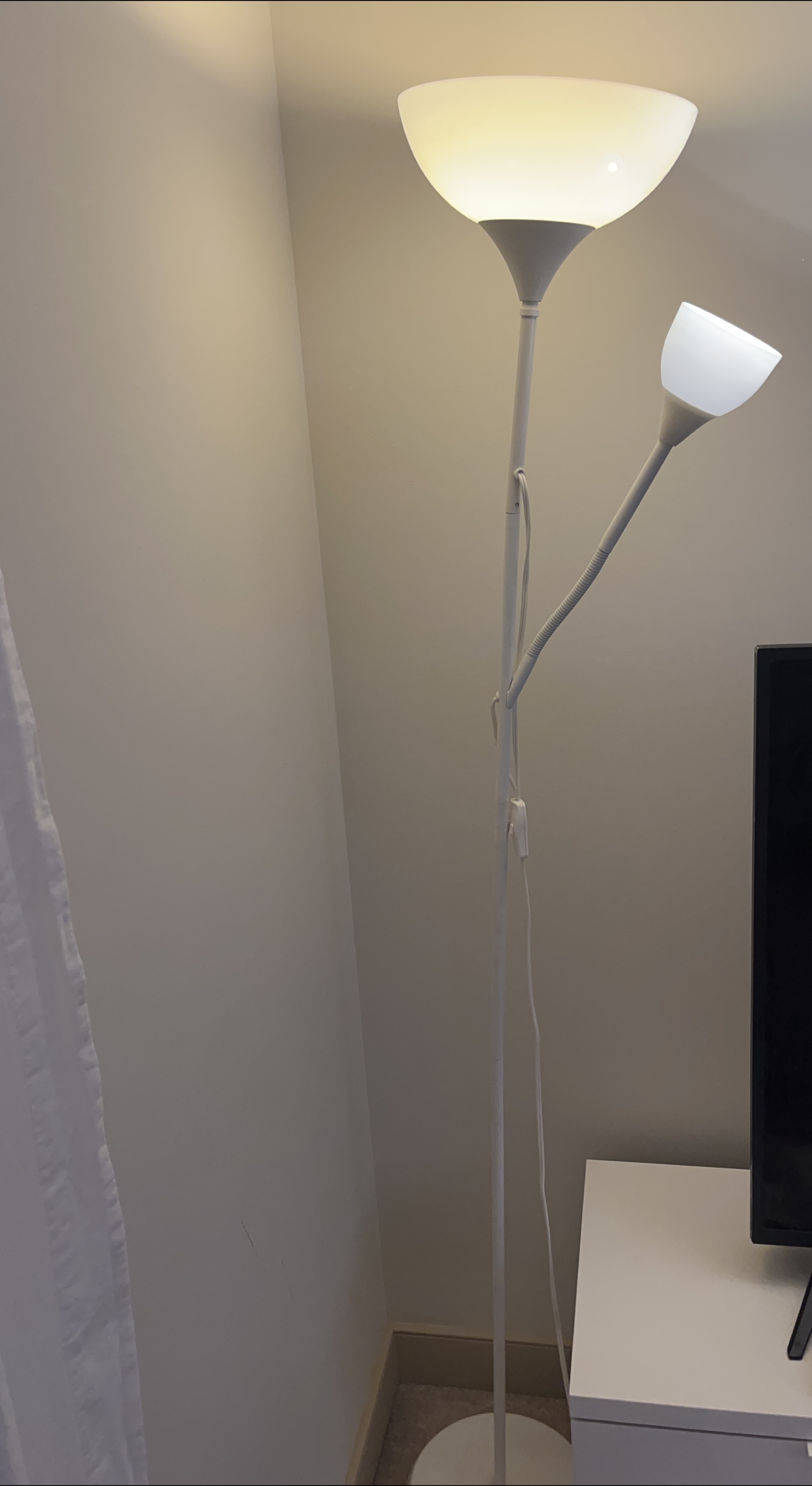 Floor Lamp with Adjustable Reading Light thumbnail