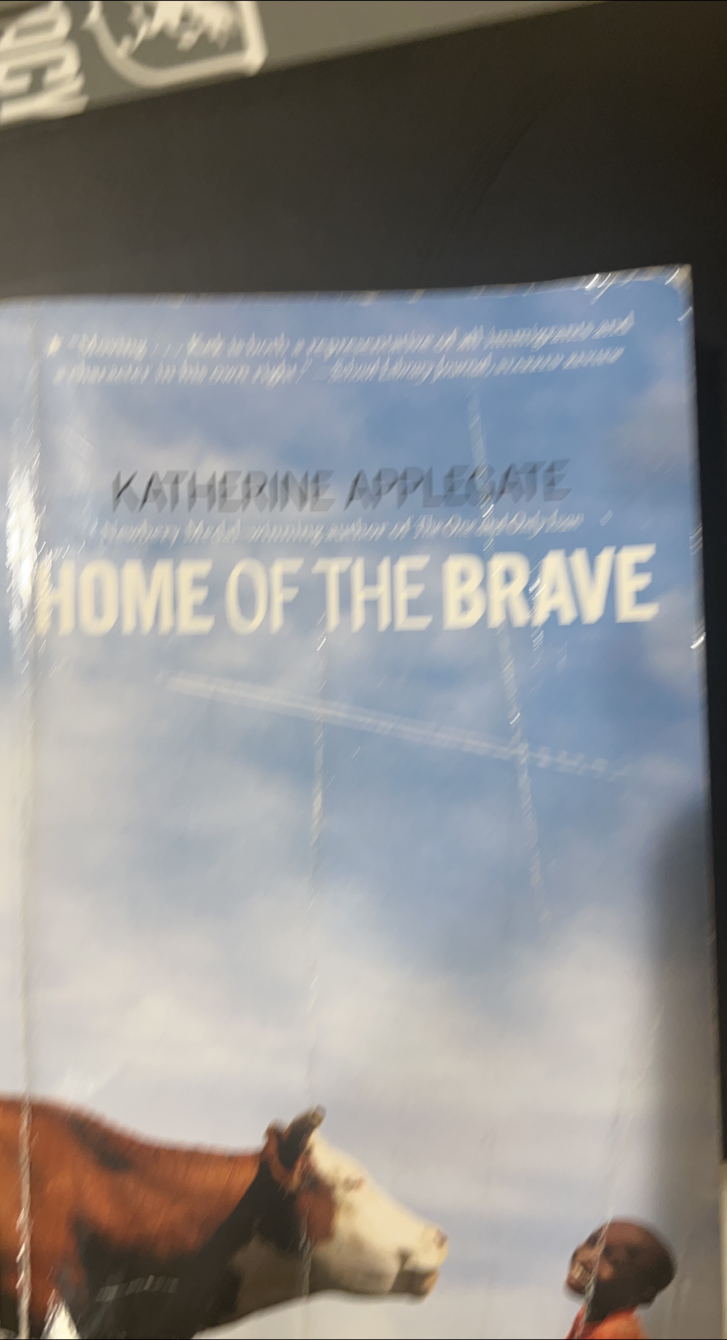 Home of the Brave by Katherine Applegate thumbnail
