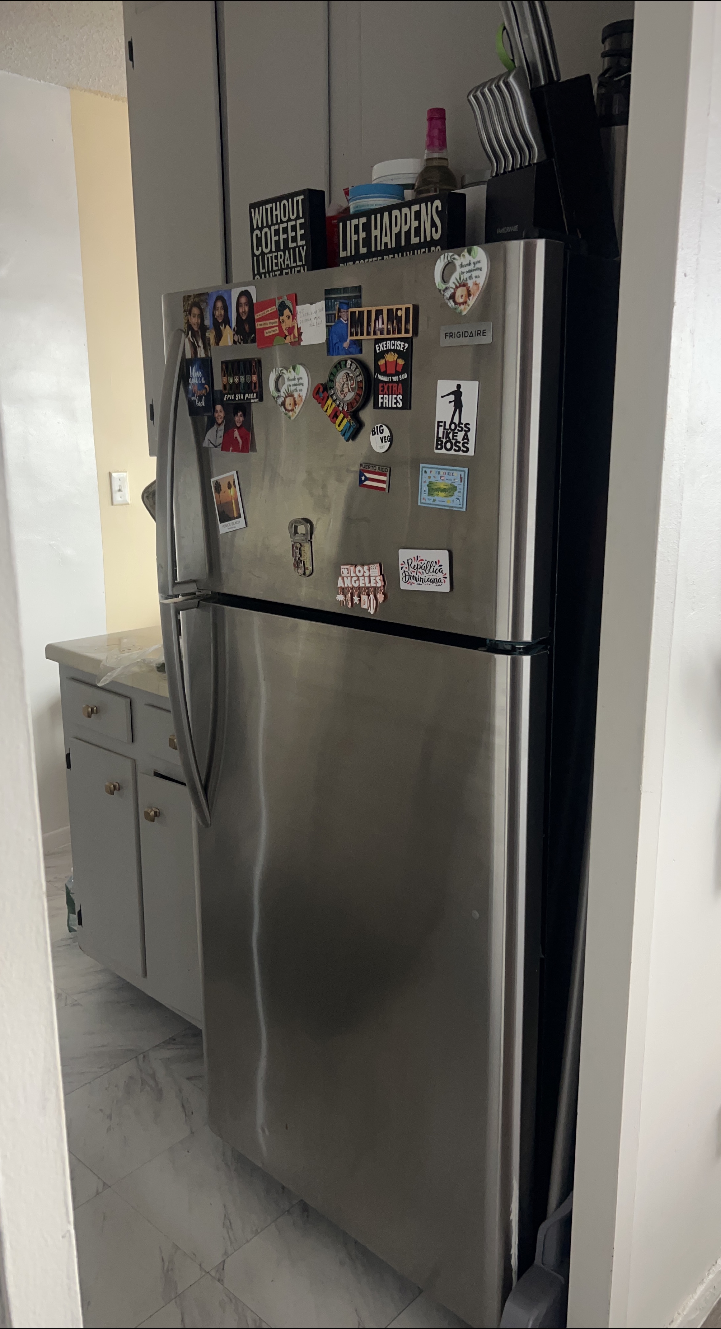 Frigidaire Stainless Steel Refrigerator
