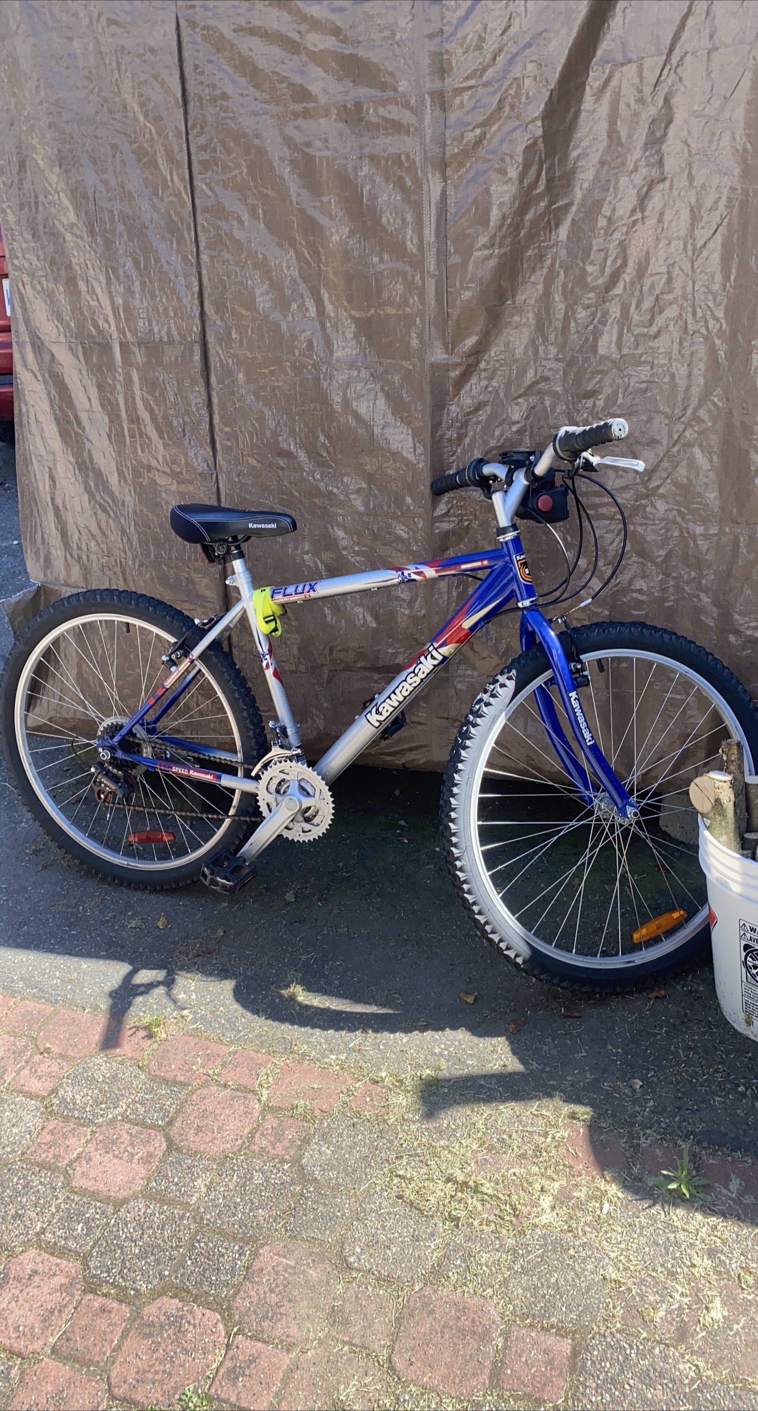 Kawasaki Flux Mountain Bike thumbnail