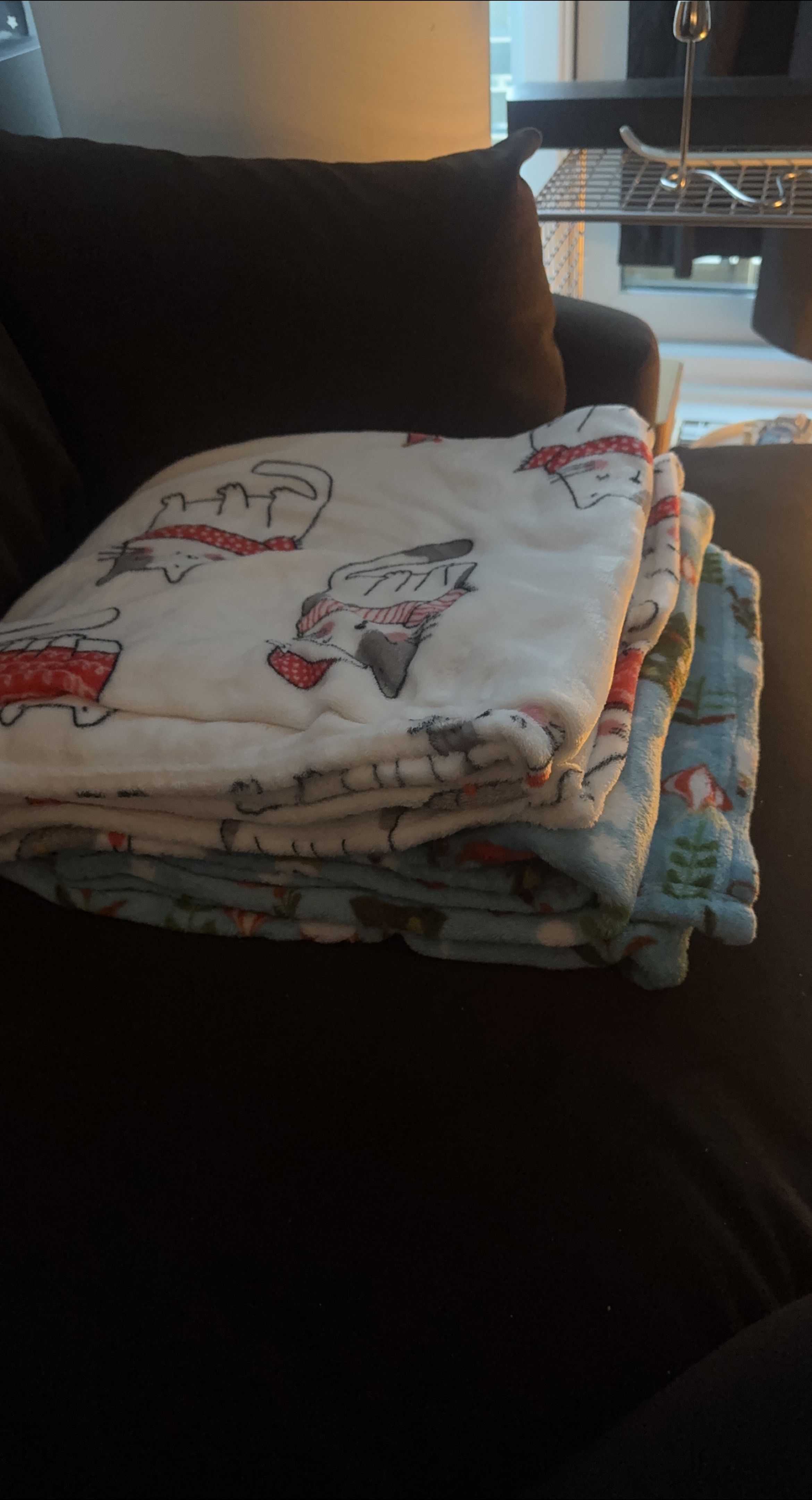 Soft Plush Baby Blanket/ Child Blankets thumbnail