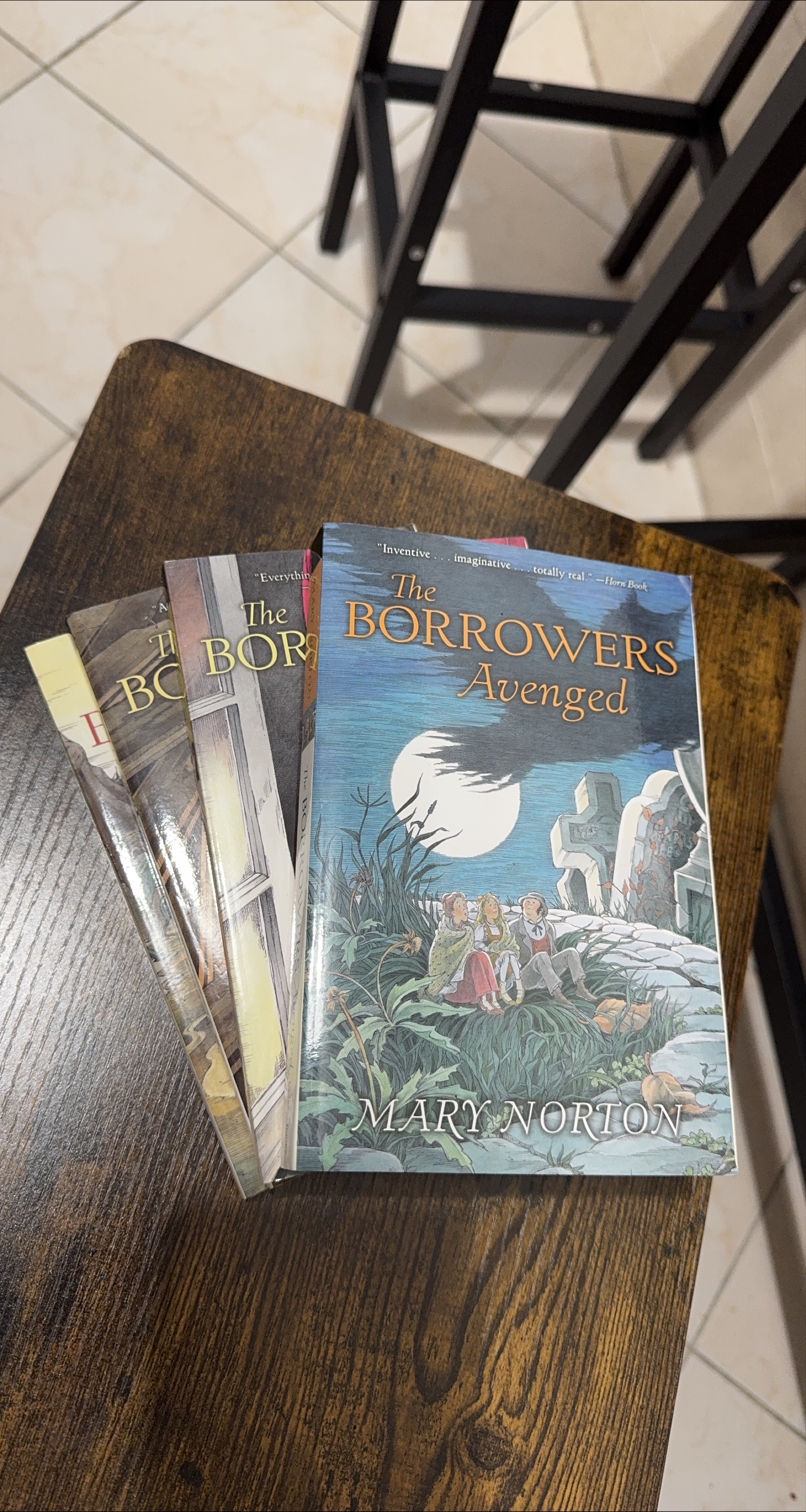 The Borrowers Book Series by Mary Norton thumbnail