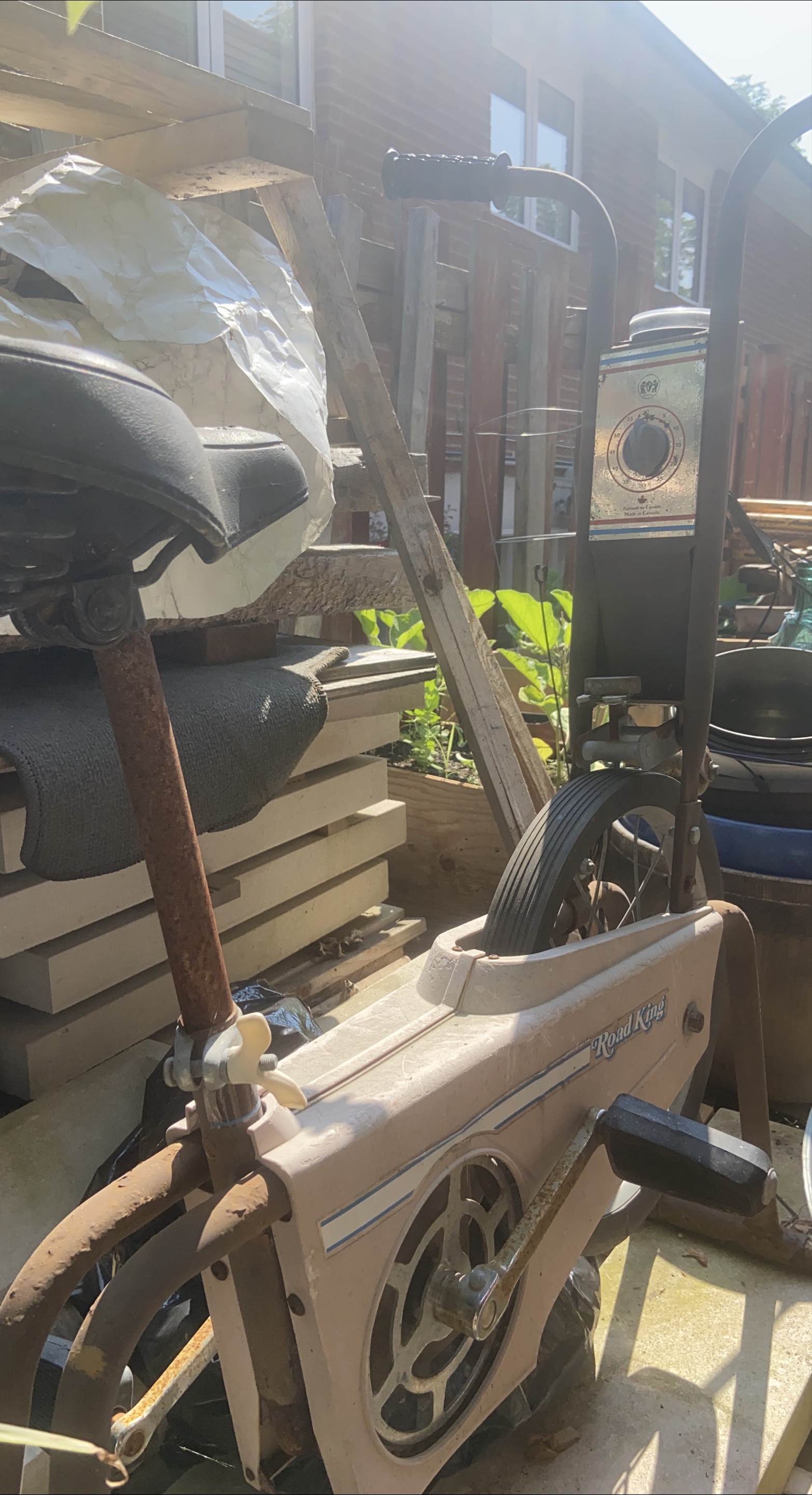Road King Stationary Bike