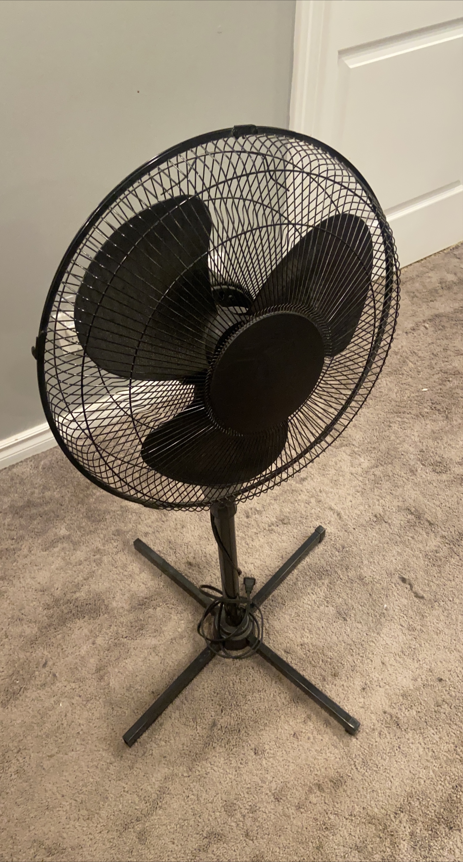 Black Standing Fan thumbnail