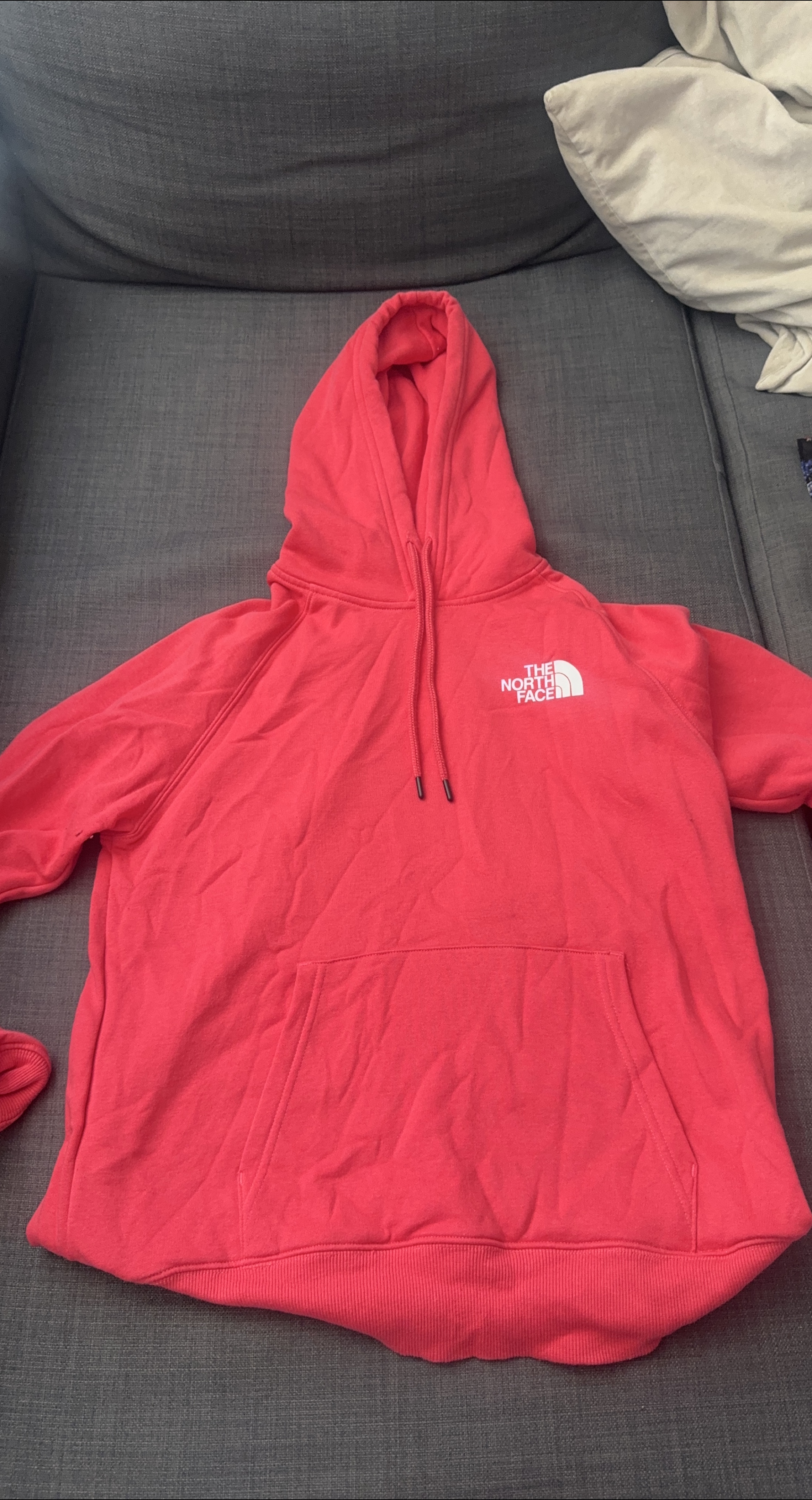 The North Face Pink Hoodie thumbnail