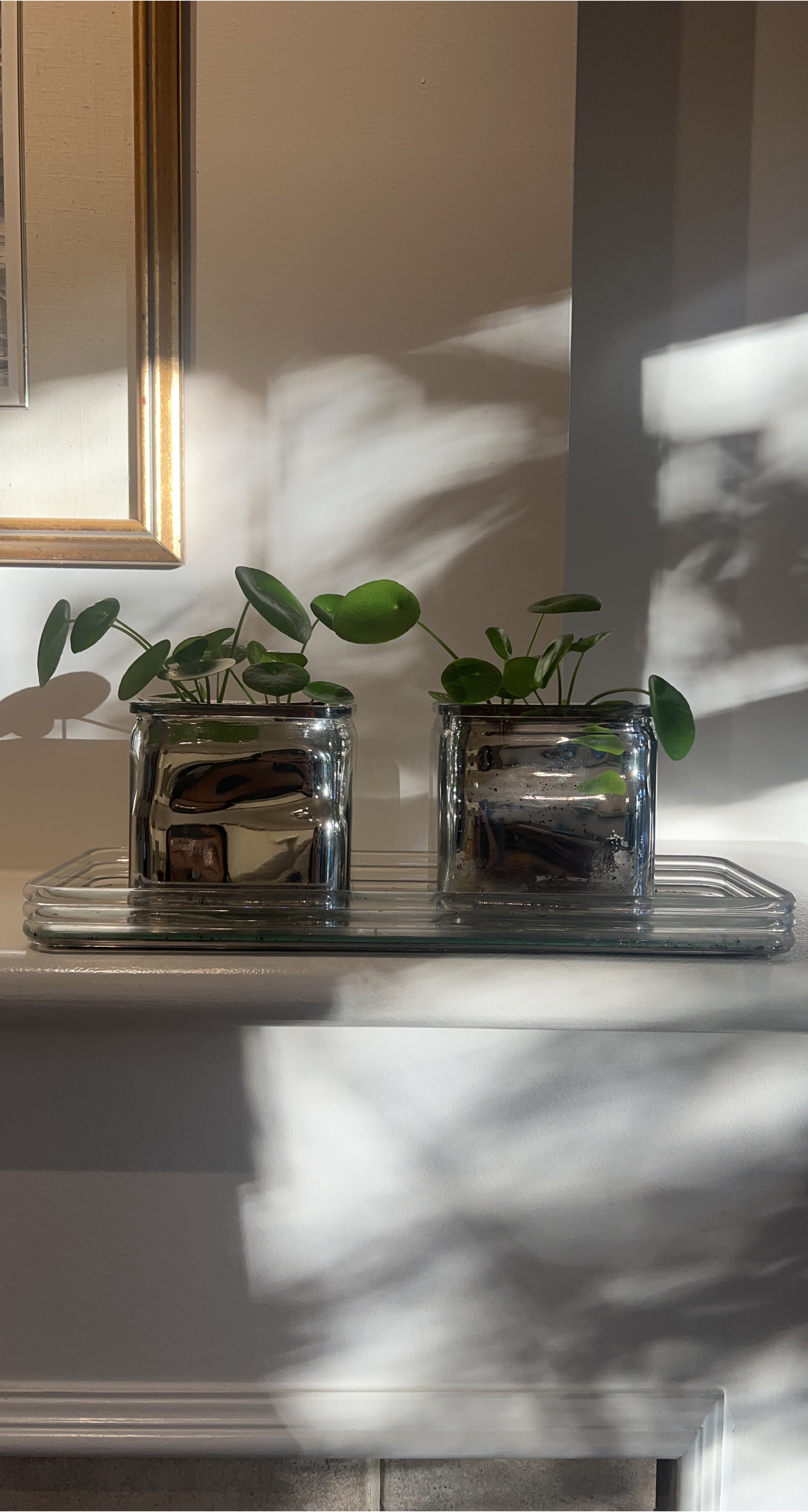 Two Silver Plant Pots with Tray thumbnail