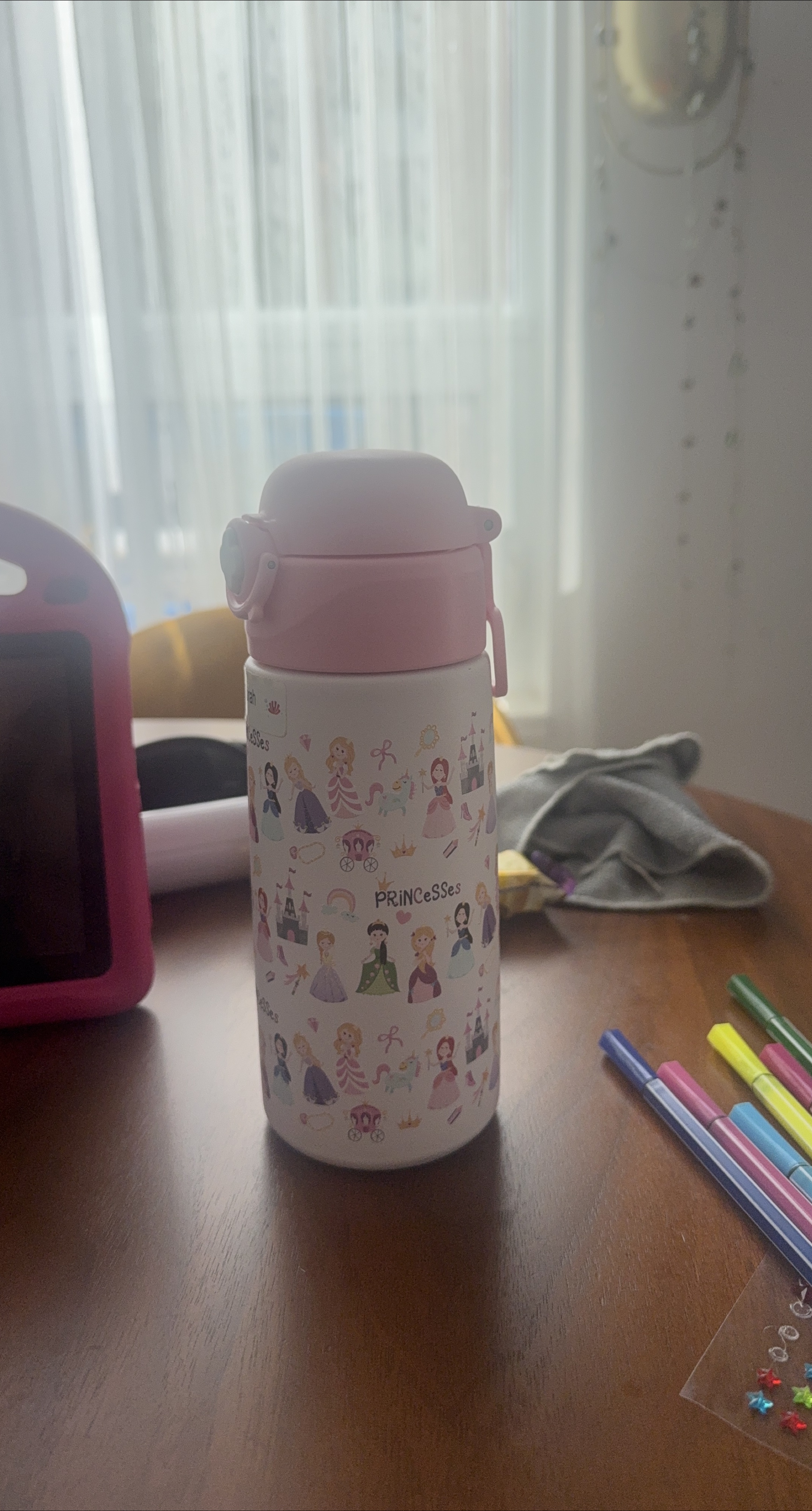 Disney Princesses Water Bottle
