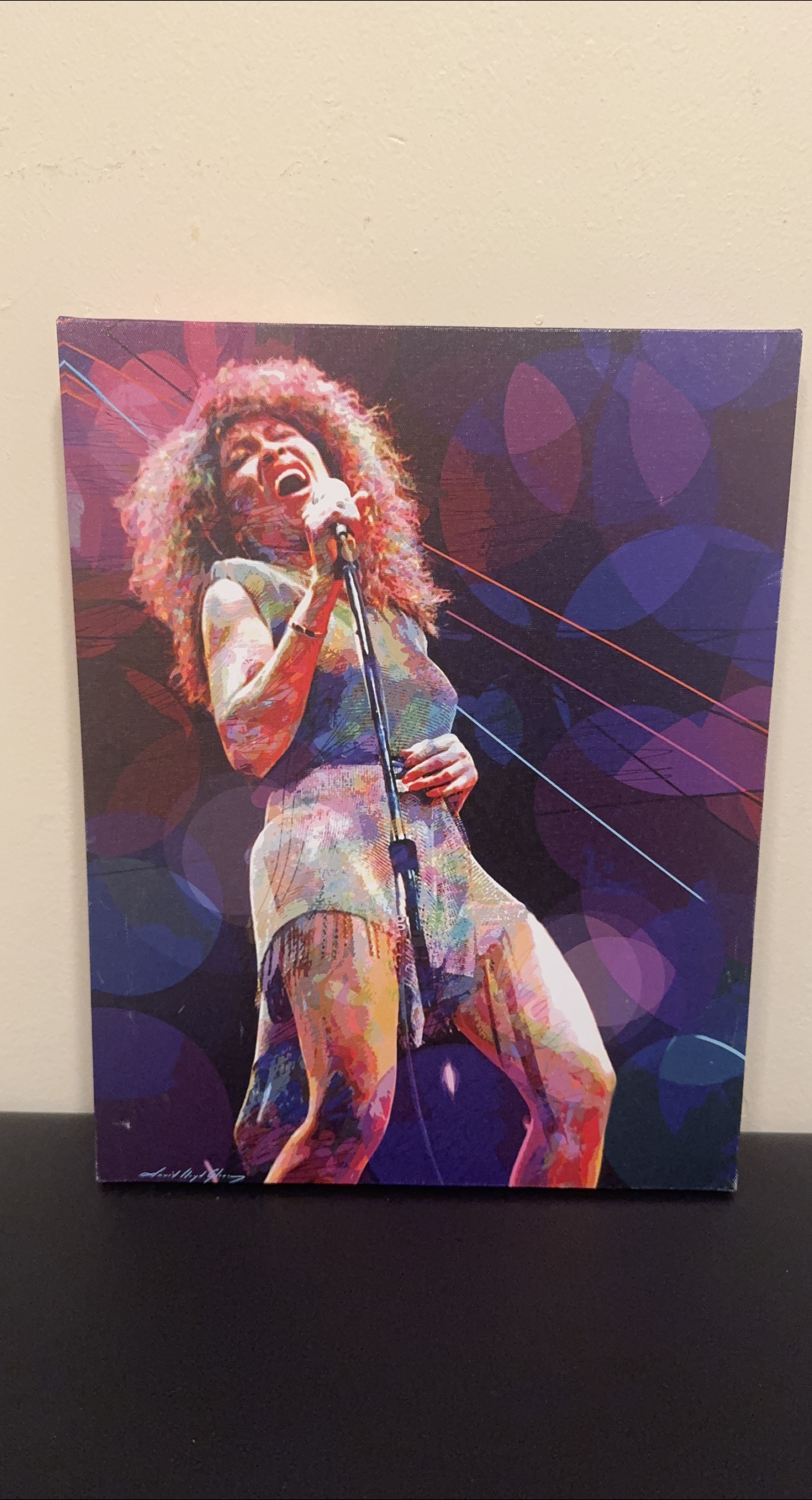 Free with purchase- Canvas Print - Tina Turner thumbnail