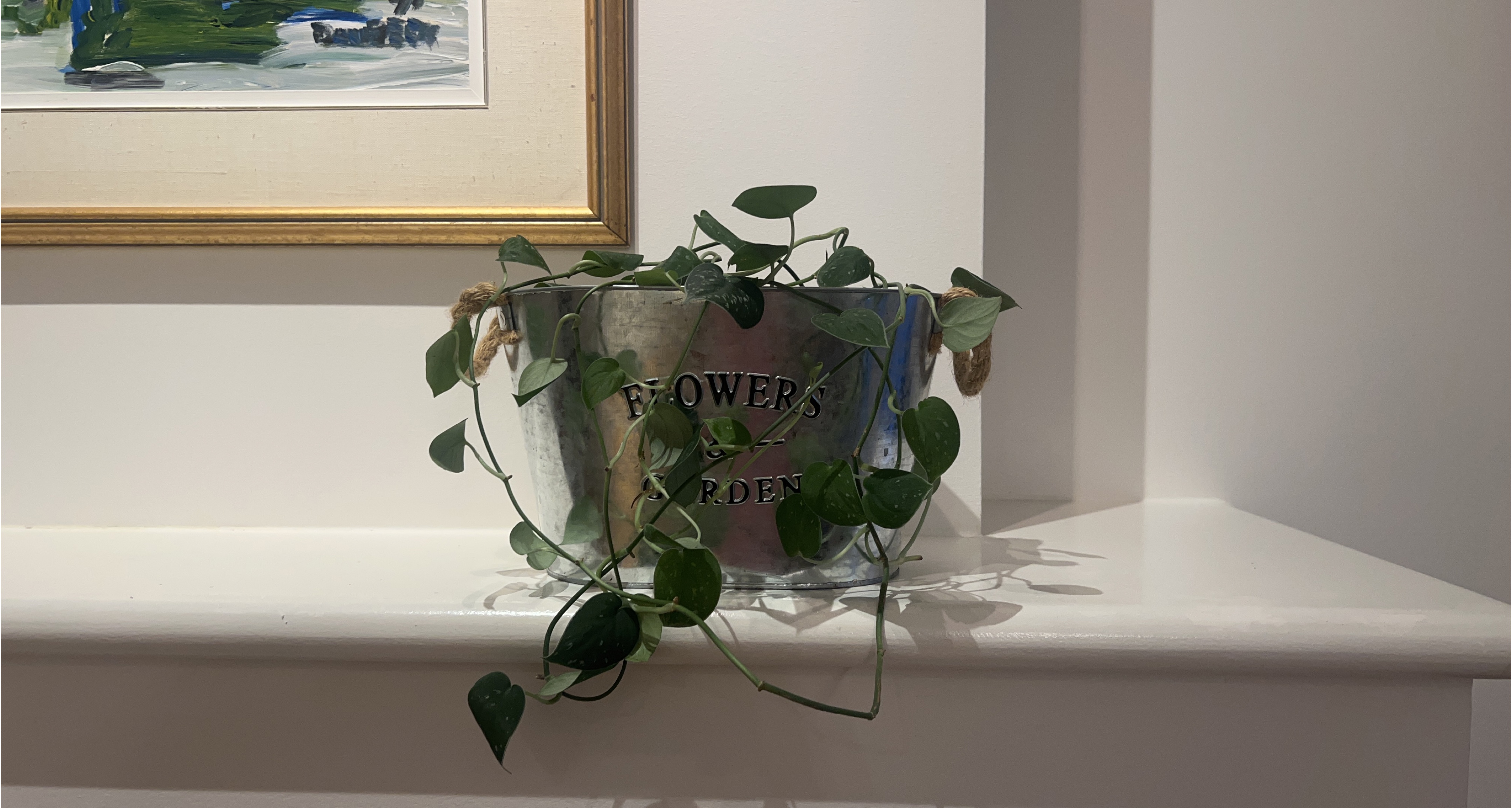 Flowers & Garden Metal Bucket Planter thumbnail
