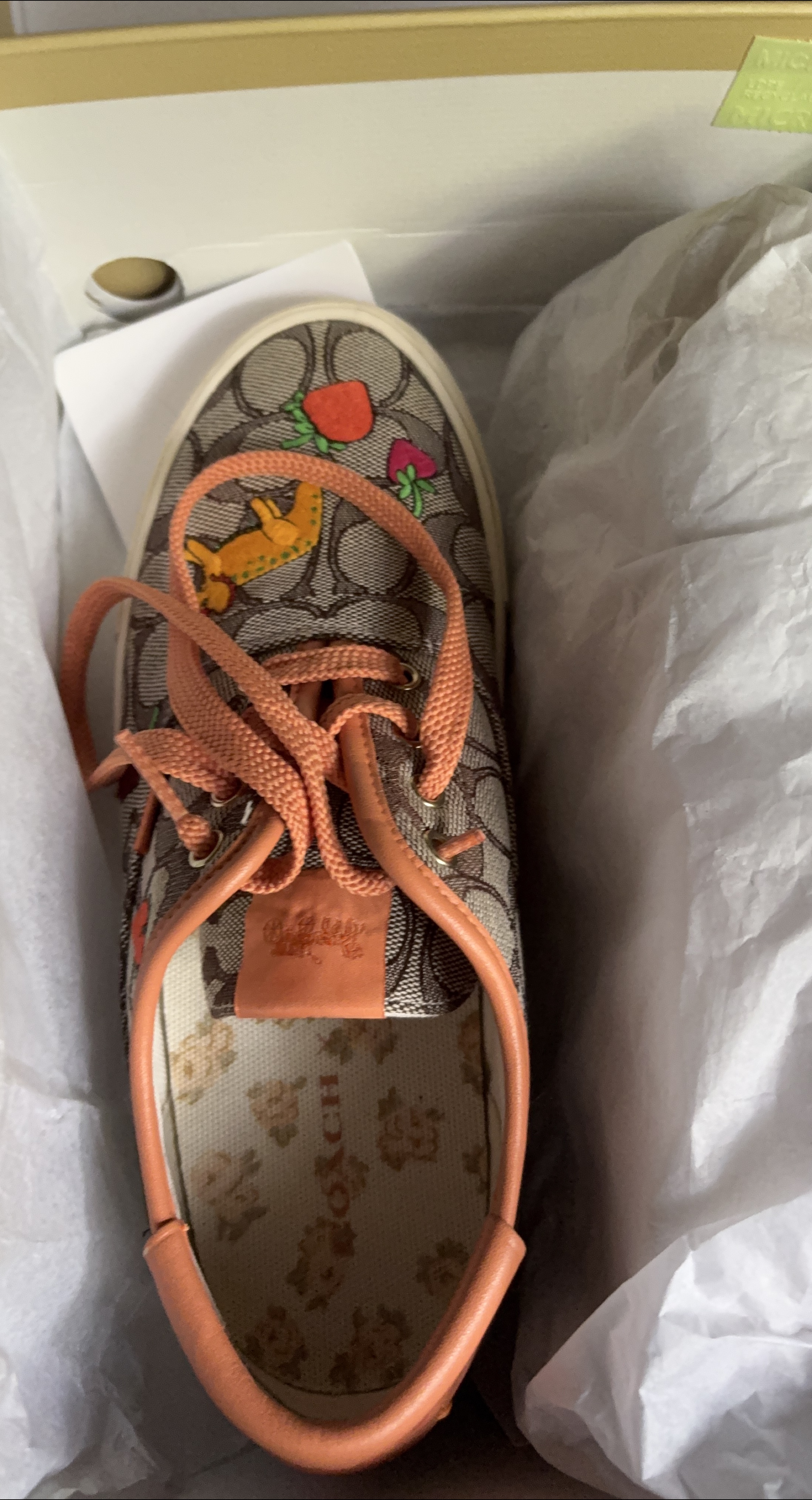 Coach Sneakers thumbnail