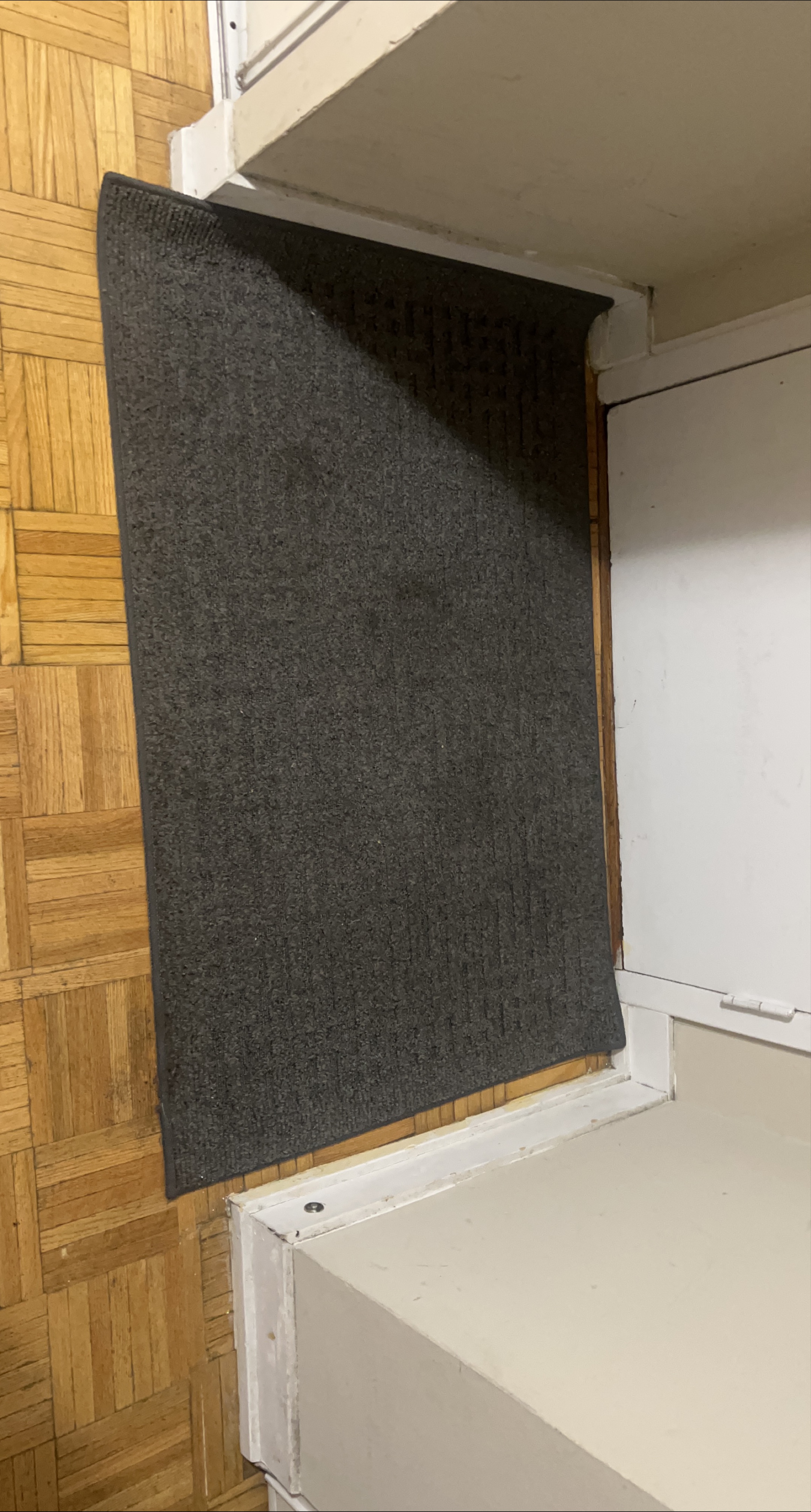 Dark Gray Doormat thumbnail