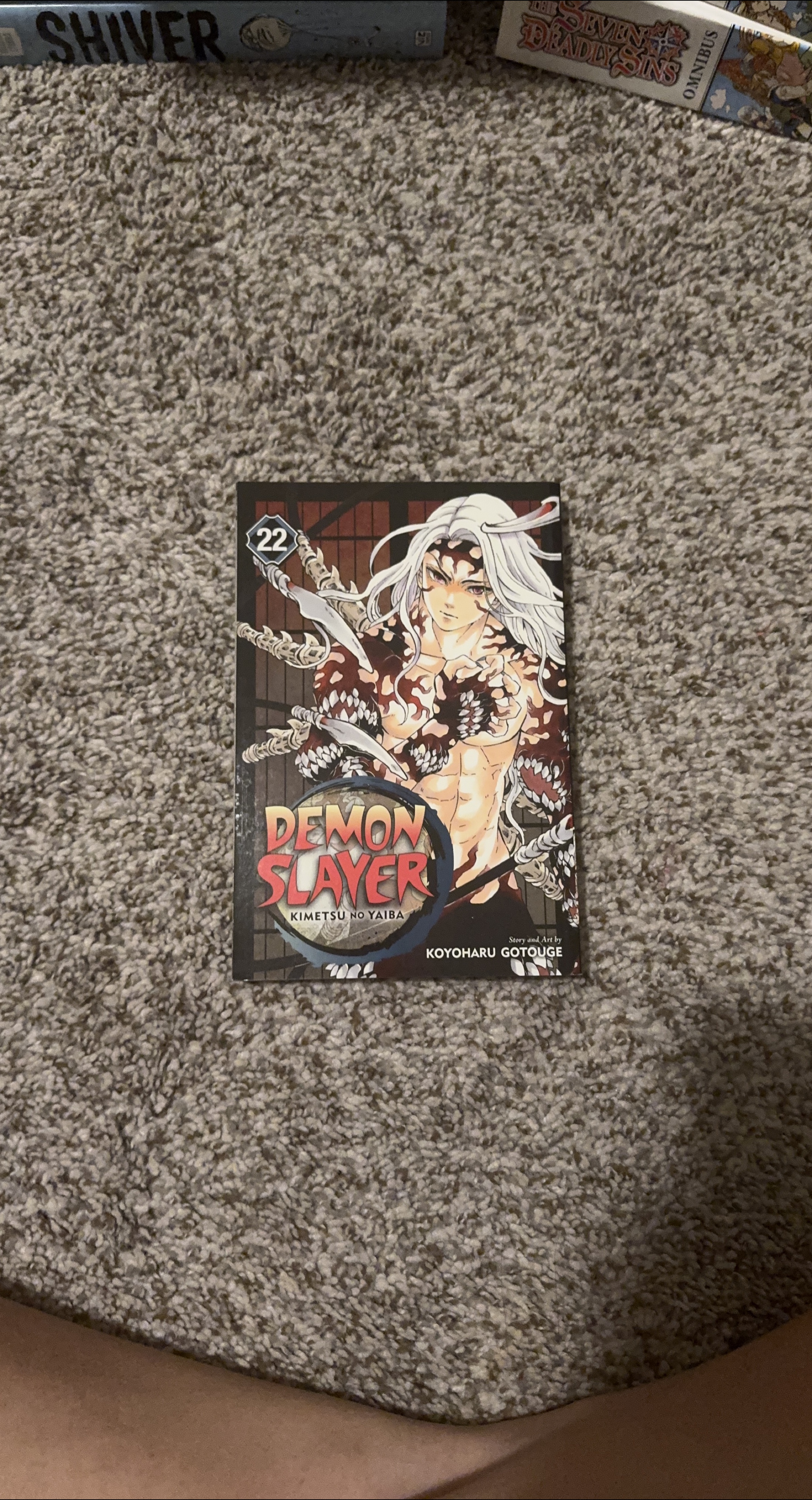 Demon Slayer Vol. 22 Manga thumbnail