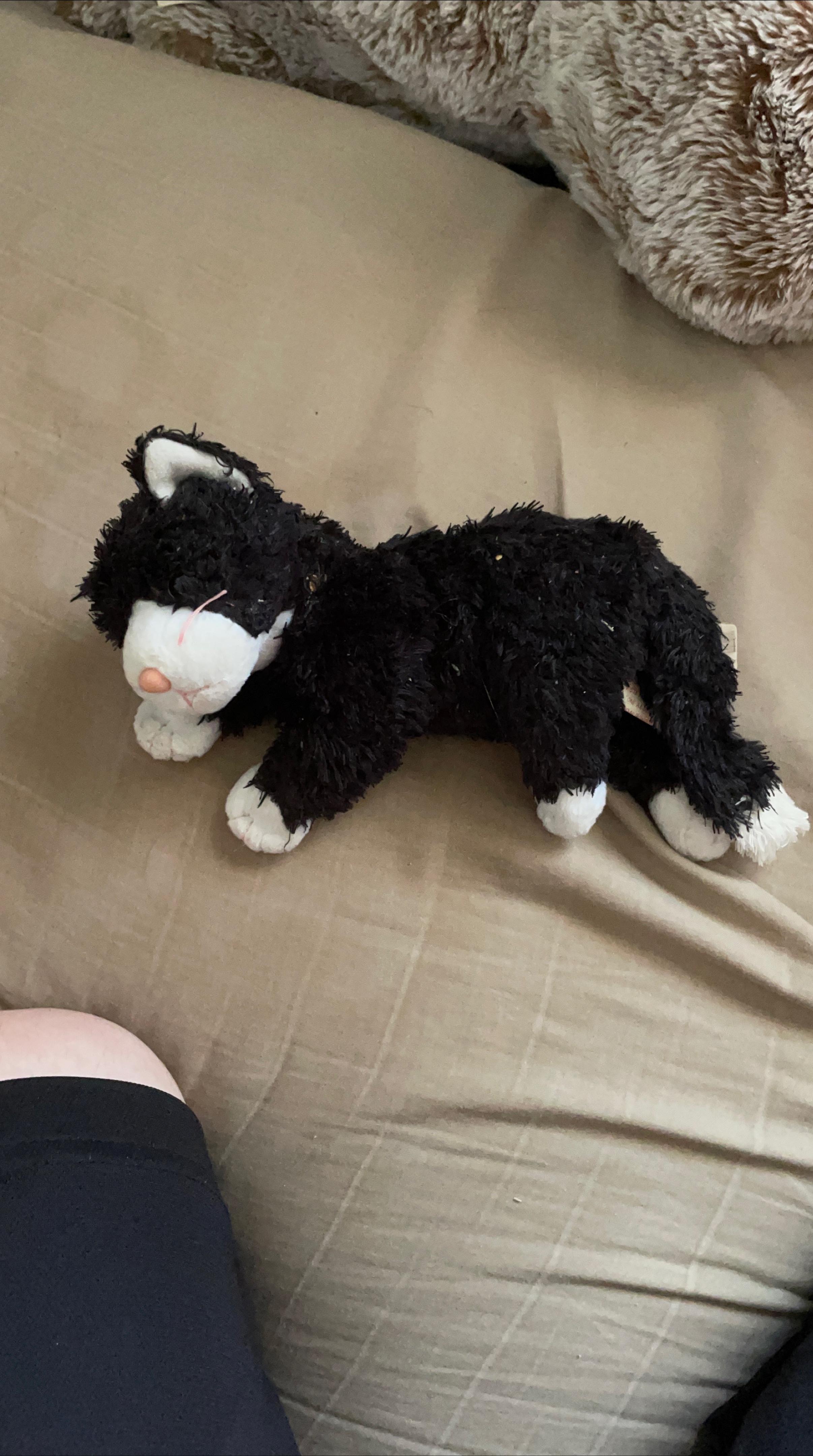 Black & White Plush Cat thumbnail