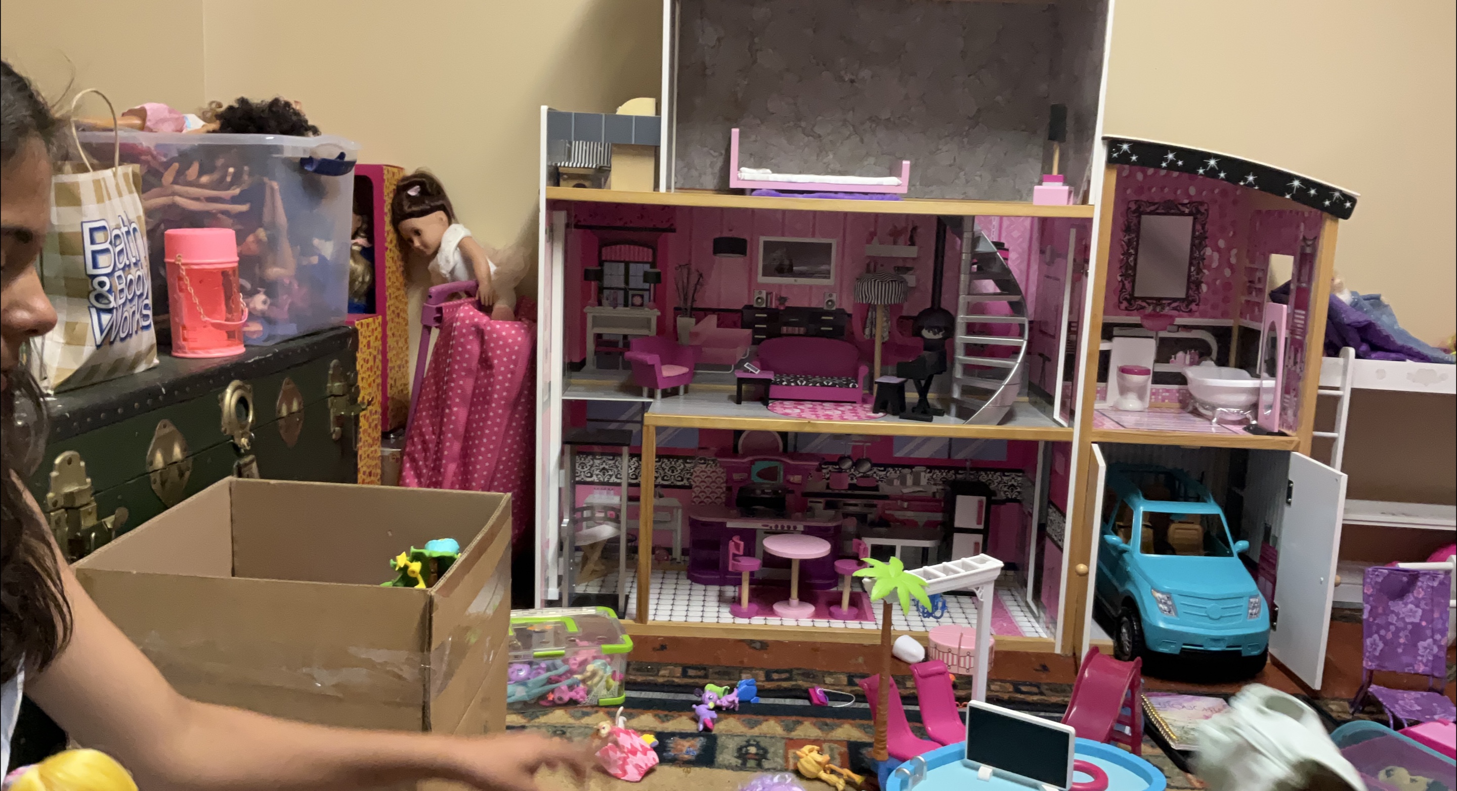 Barbie Dreamhouse and Accessories thumbnail