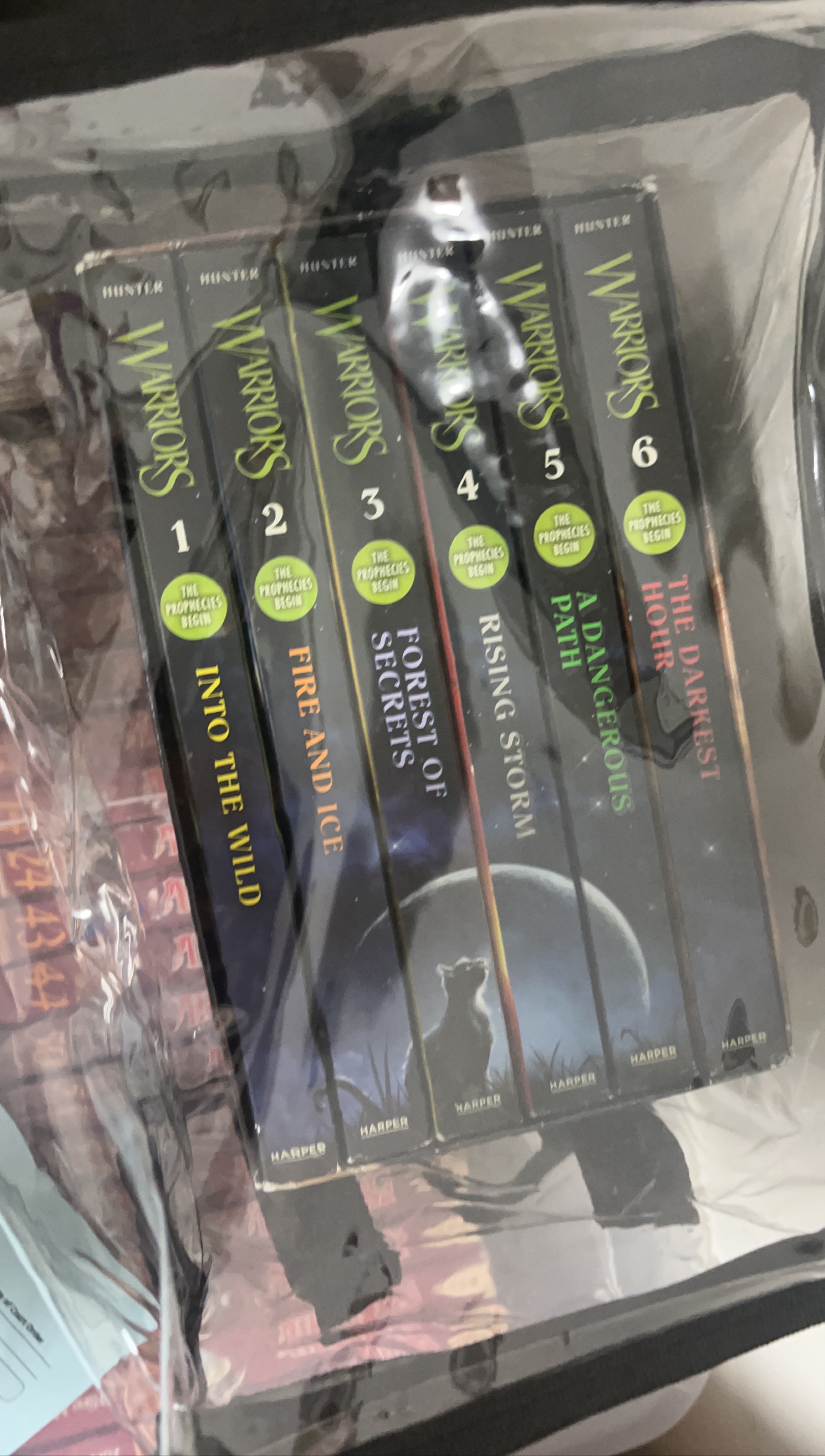 Warriors: The Prophecies Begin - Books 1-6 thumbnail