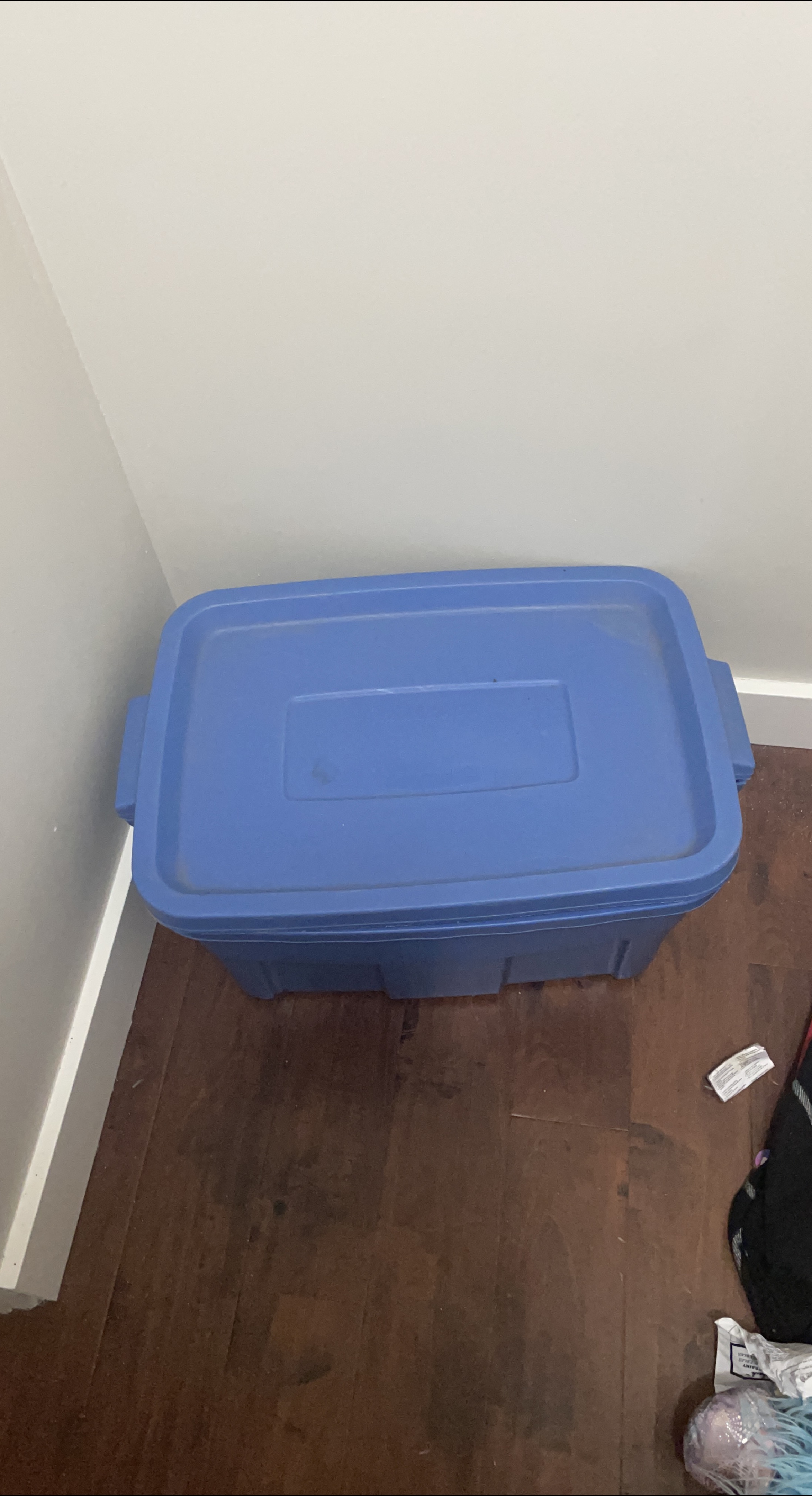 Blue Storage Container thumbnail