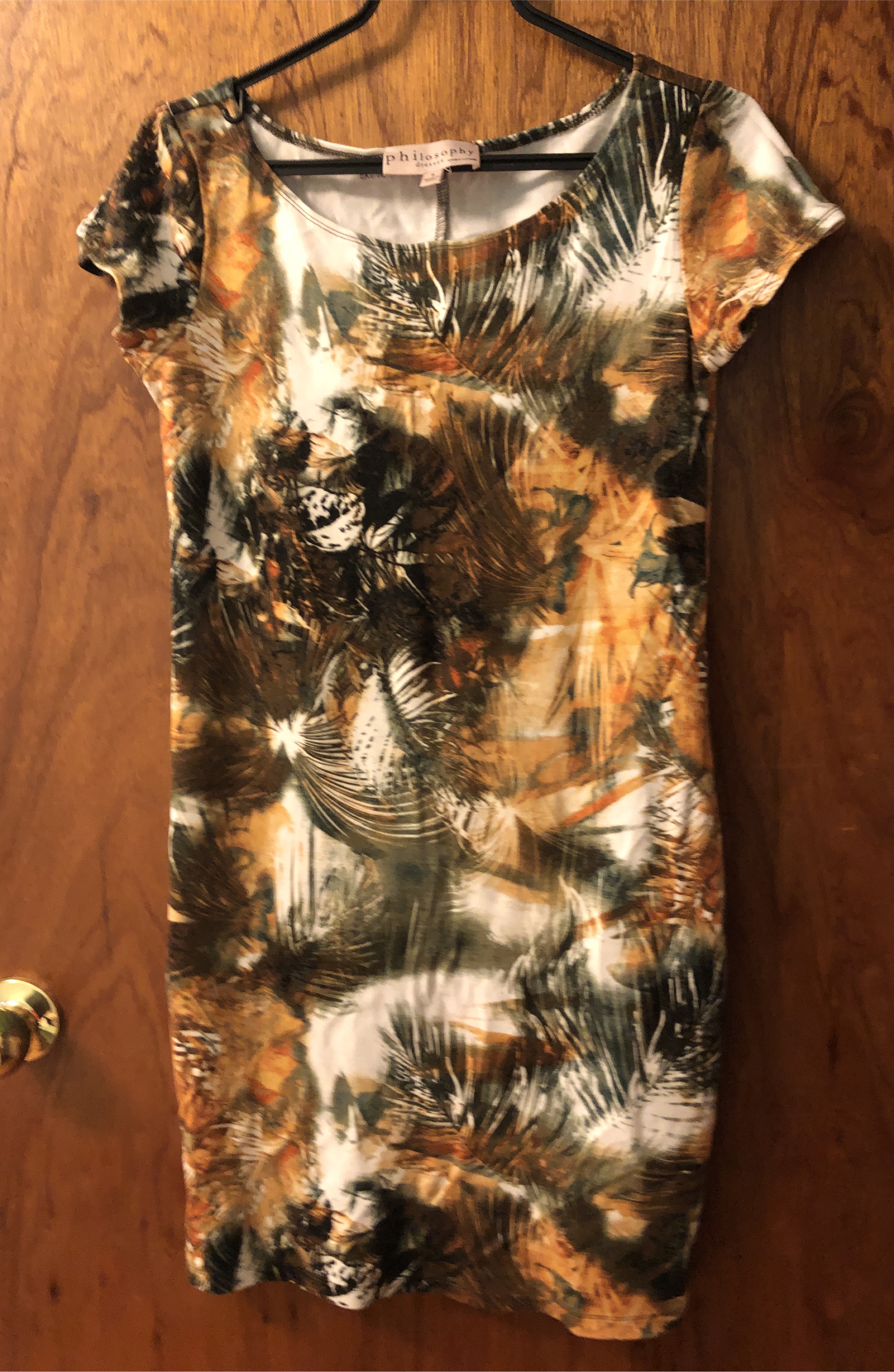 Philosophy Dress thumbnail