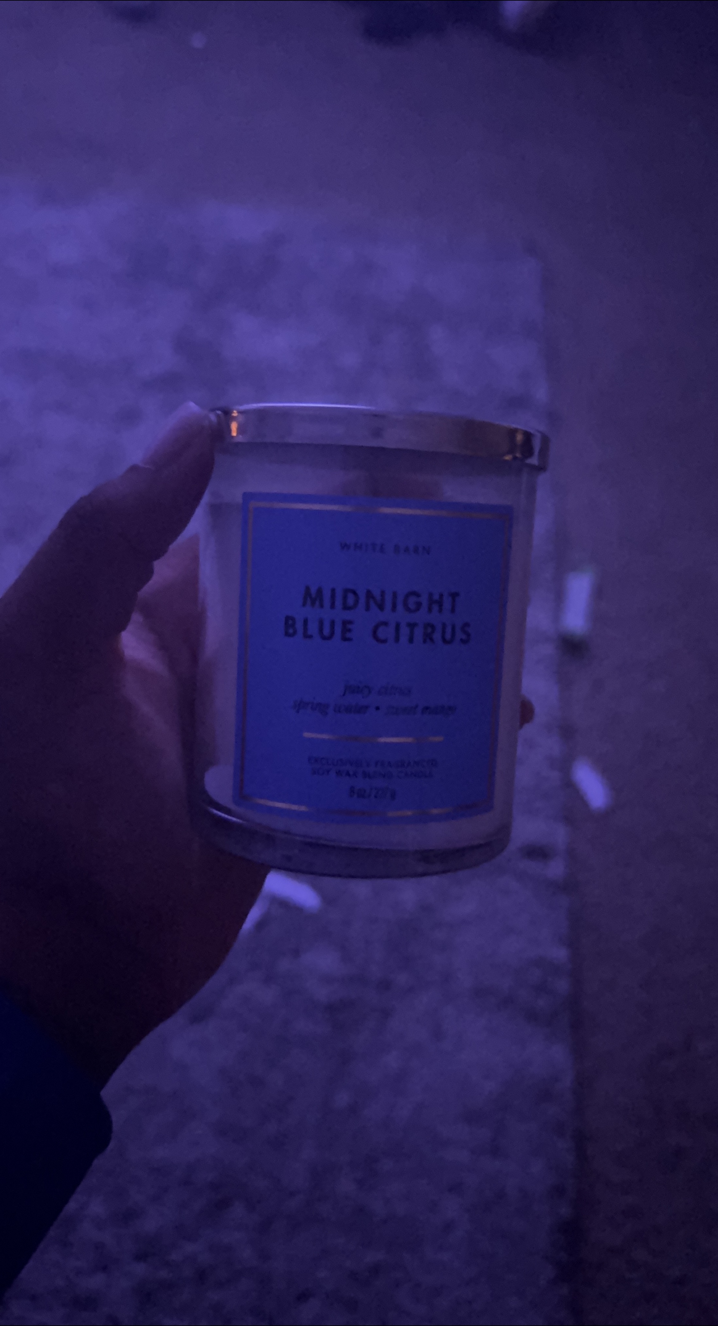 White Barn Midnight Blue Citrus Candle thumbnail