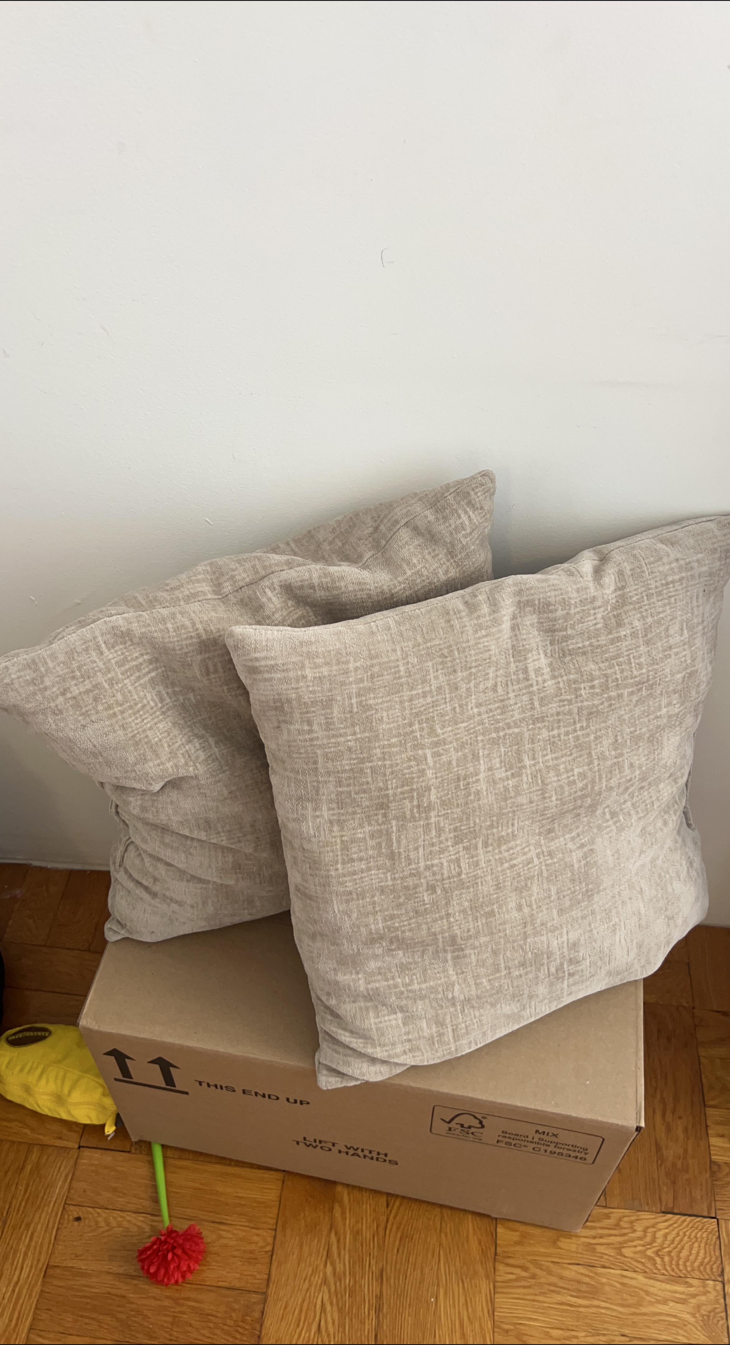 Neutral Throw Pillows - Set of 2