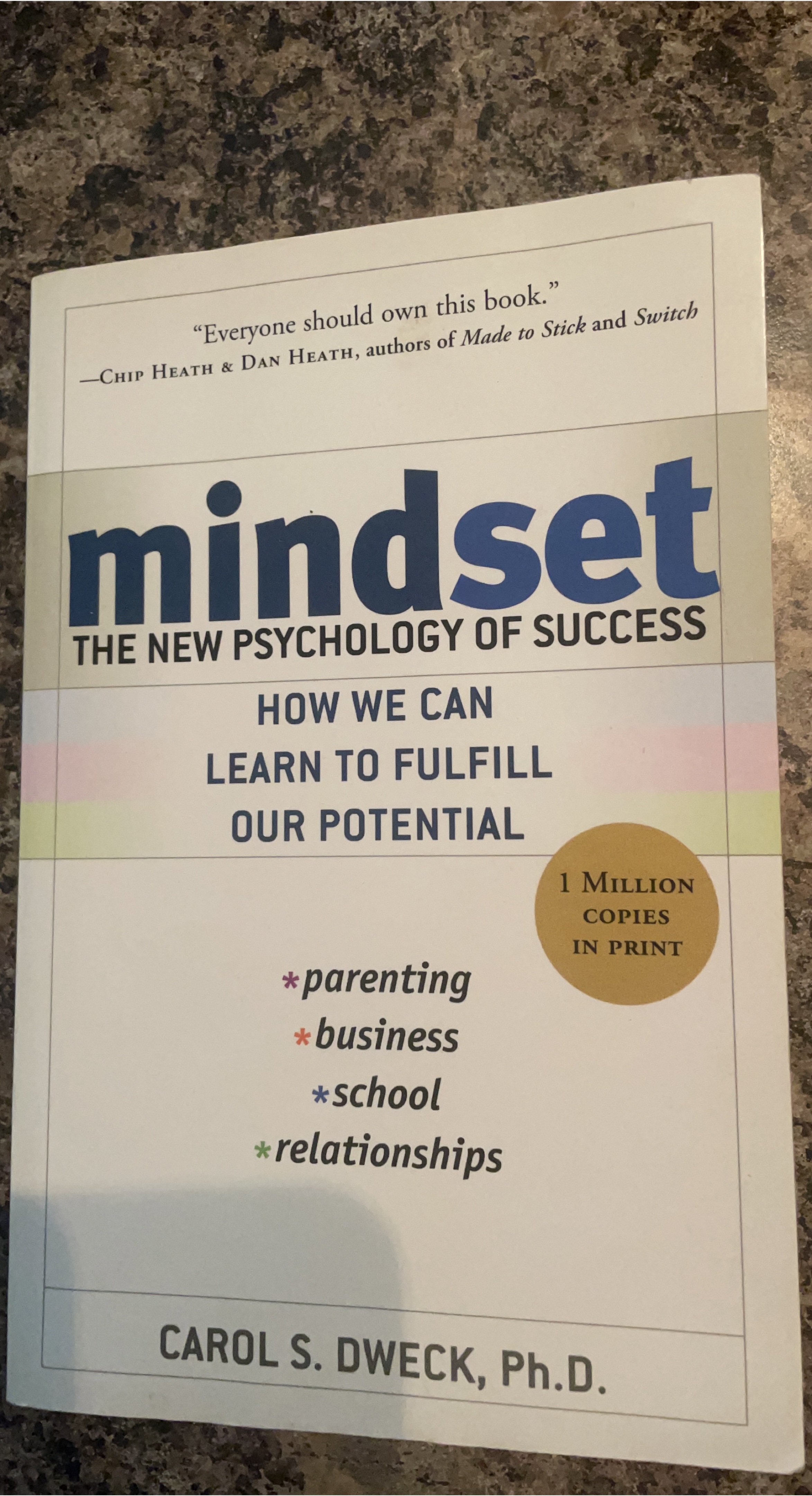 Mindset: The New Psychology of Success by Carol S. Dweck thumbnail