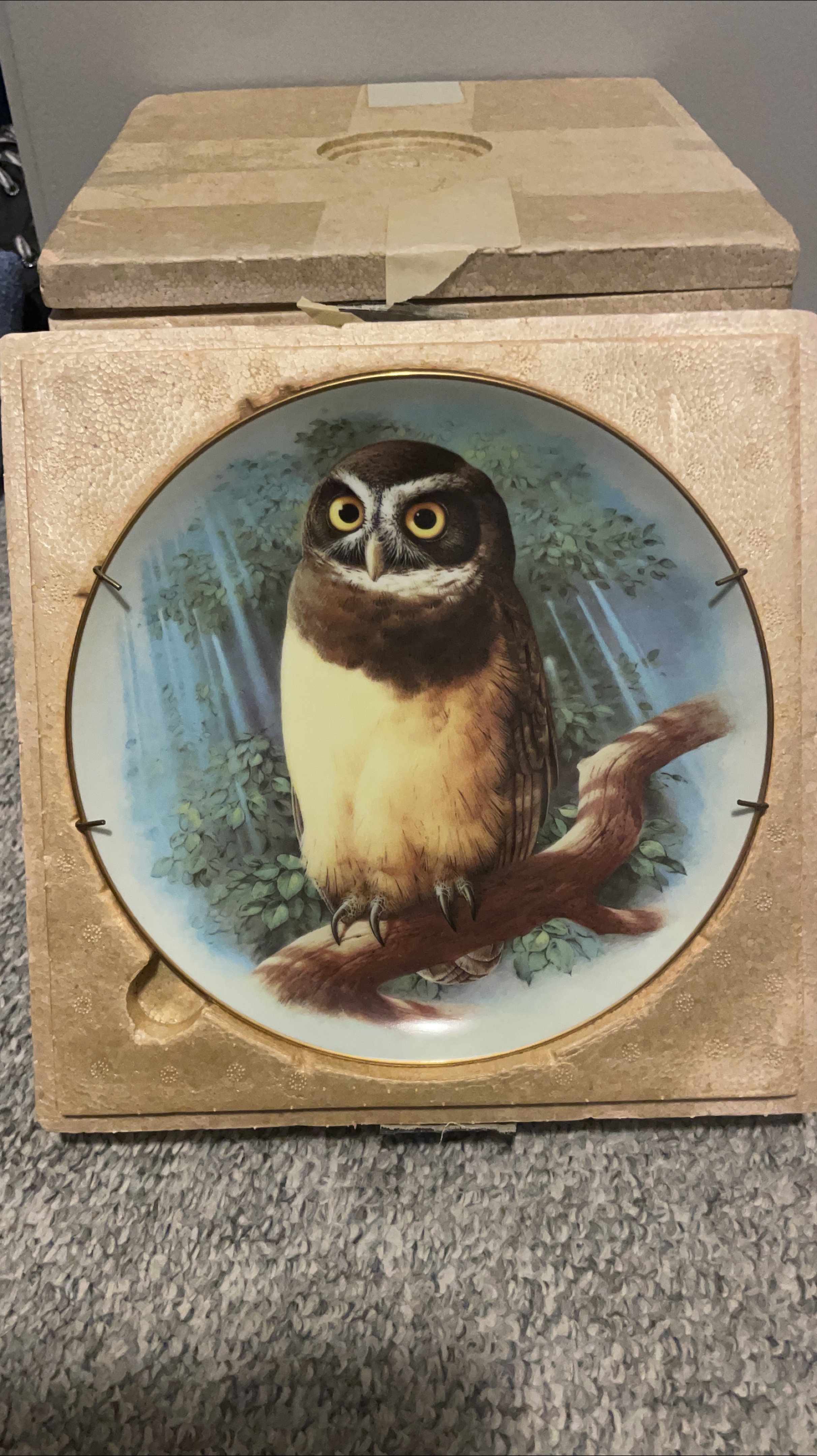 Owl Decorative Plate in Box thumbnail
