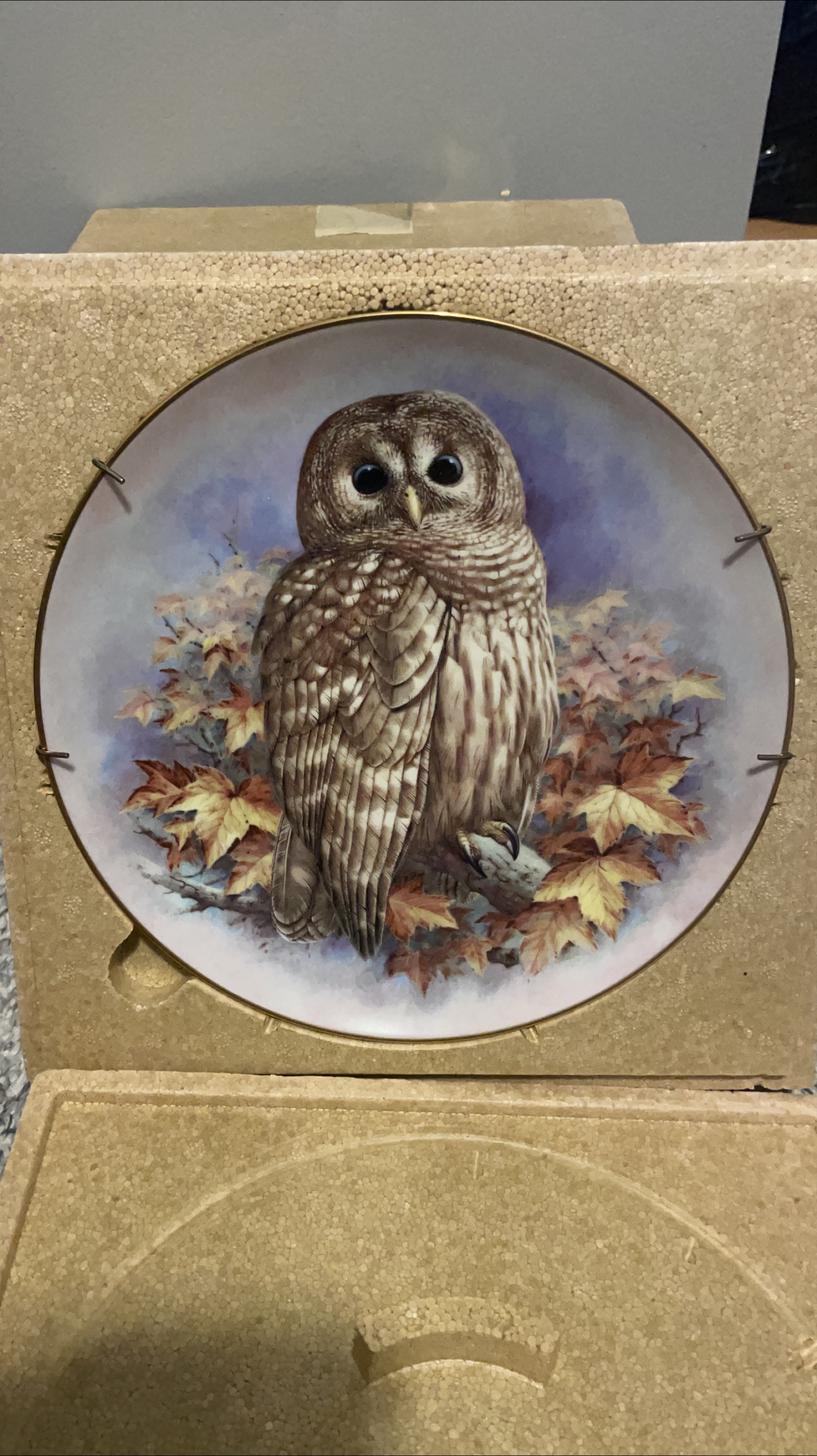 Decorative Owl Plate thumbnail