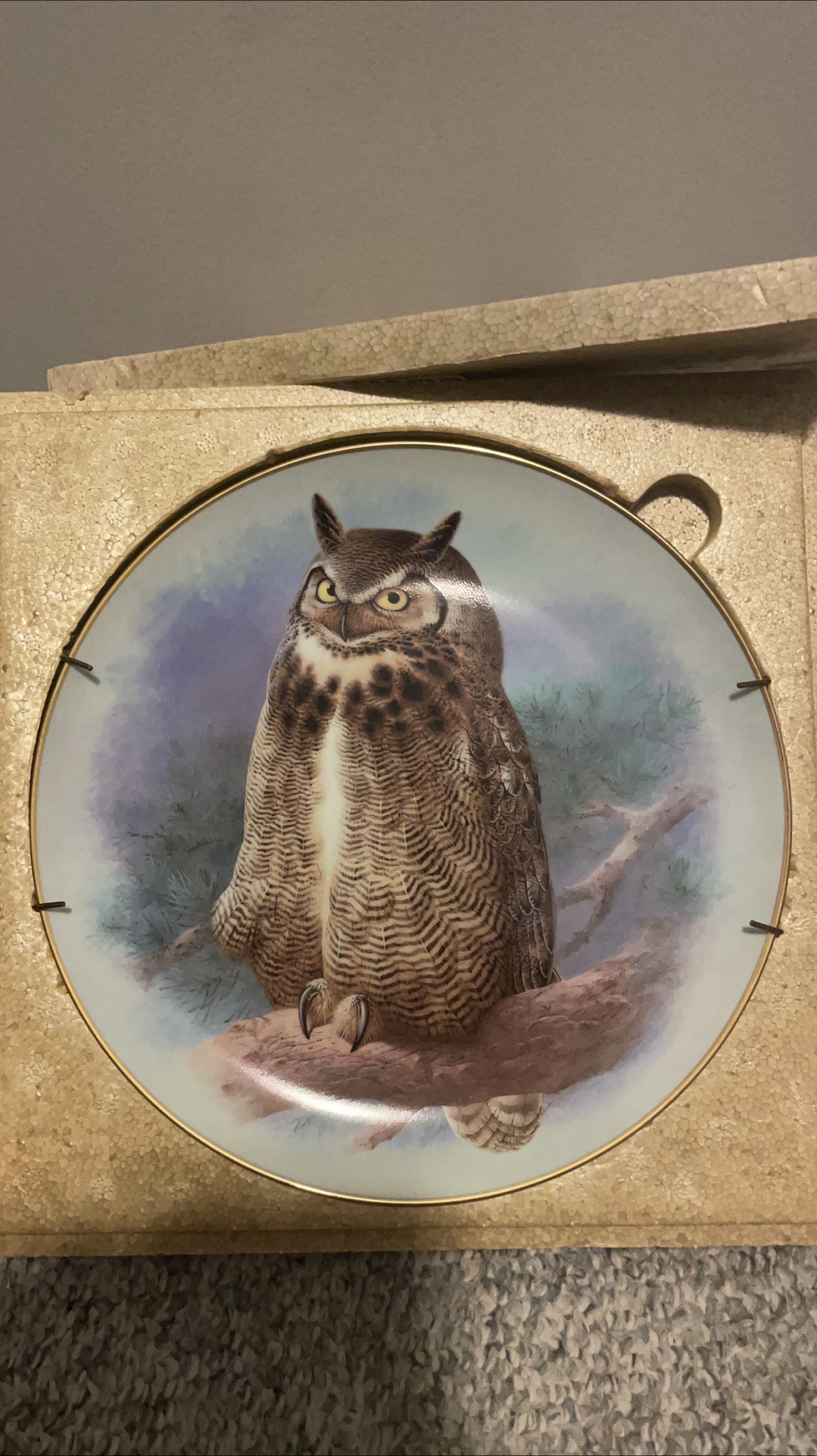 Owl Decorative Plate thumbnail