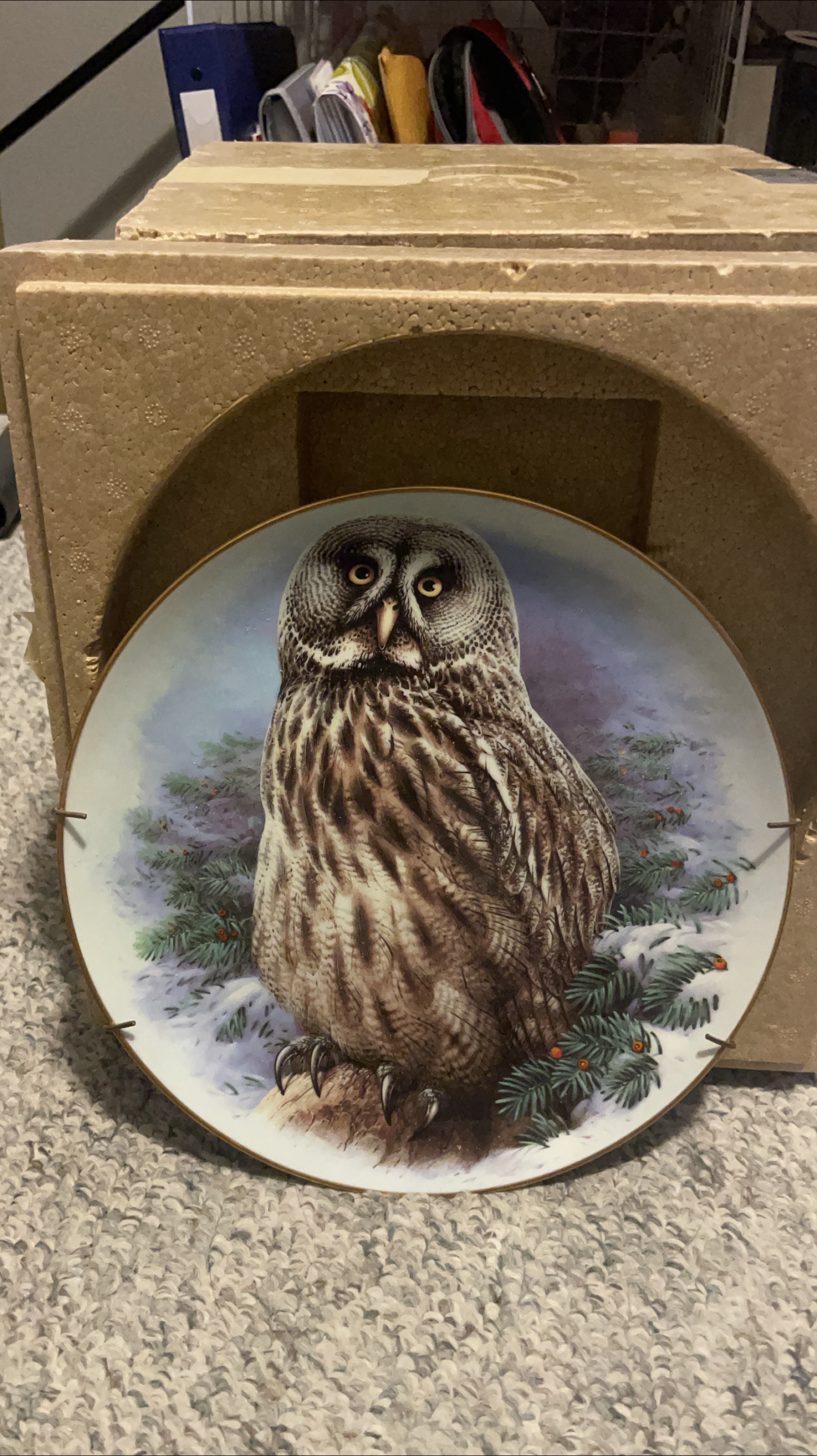 Collectible Owl Decorative Plate thumbnail