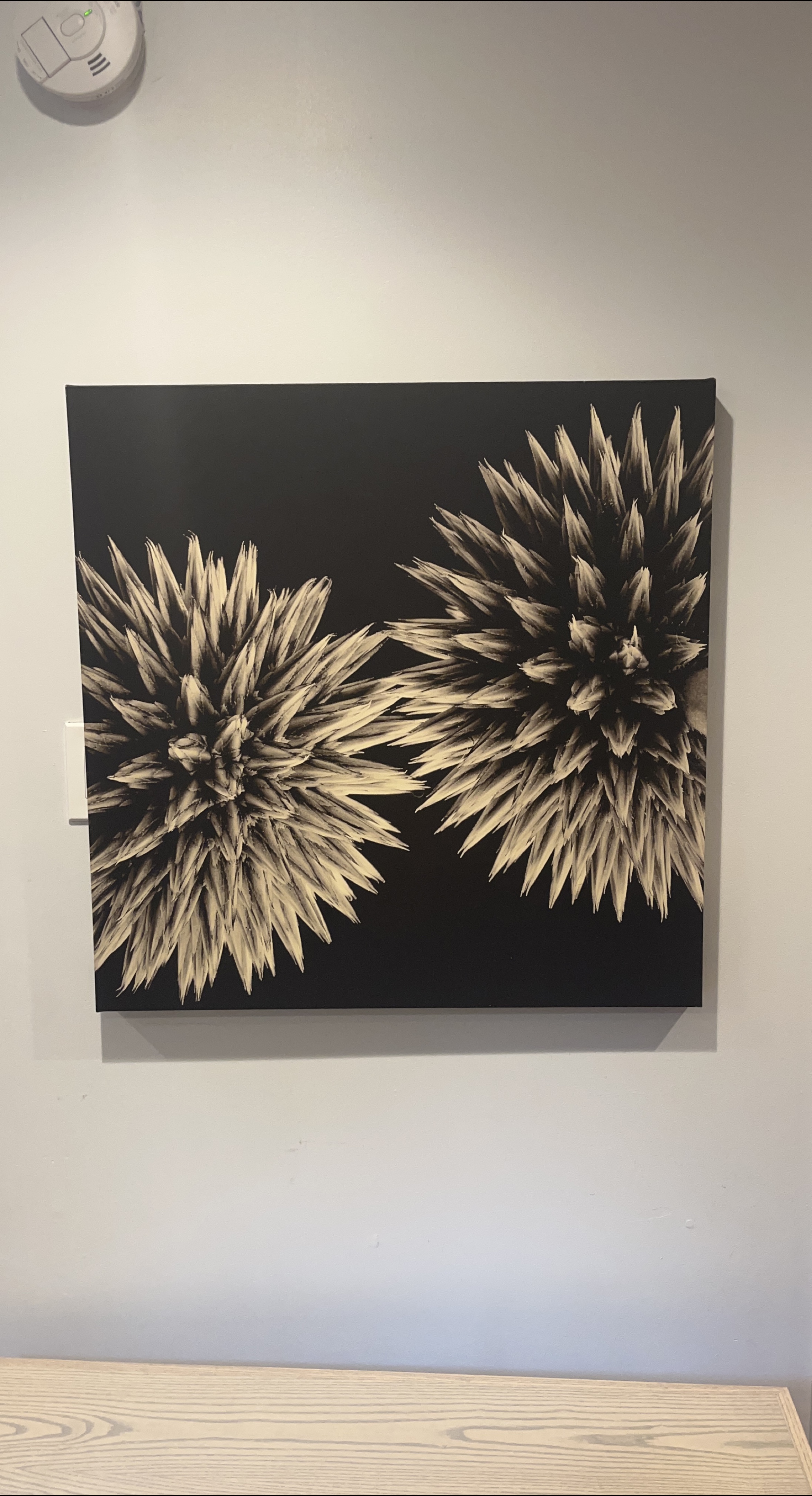 Abstract Floral Canvas Art thumbnail