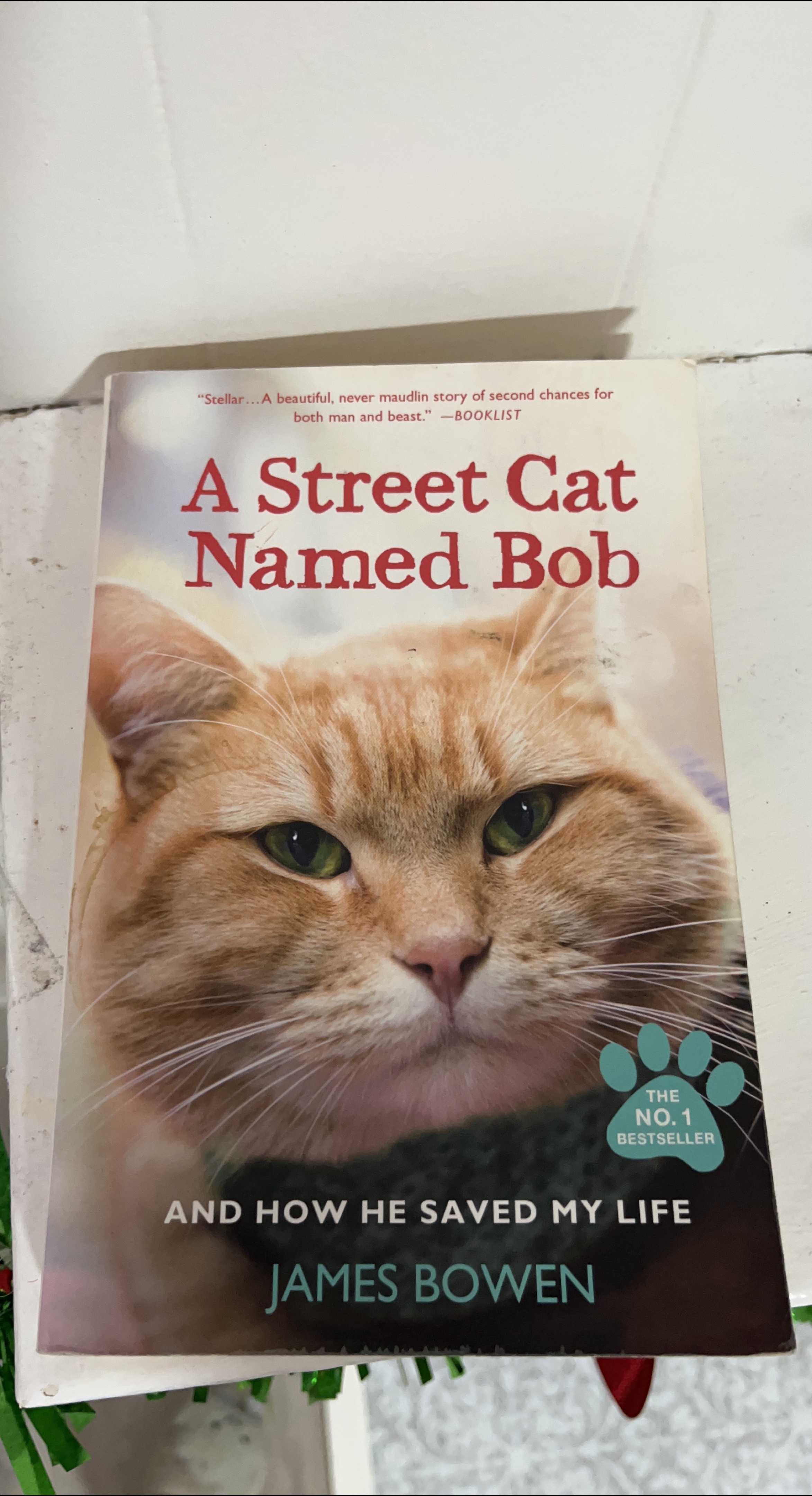A Street Cat Named Bob by James Bowen thumbnail