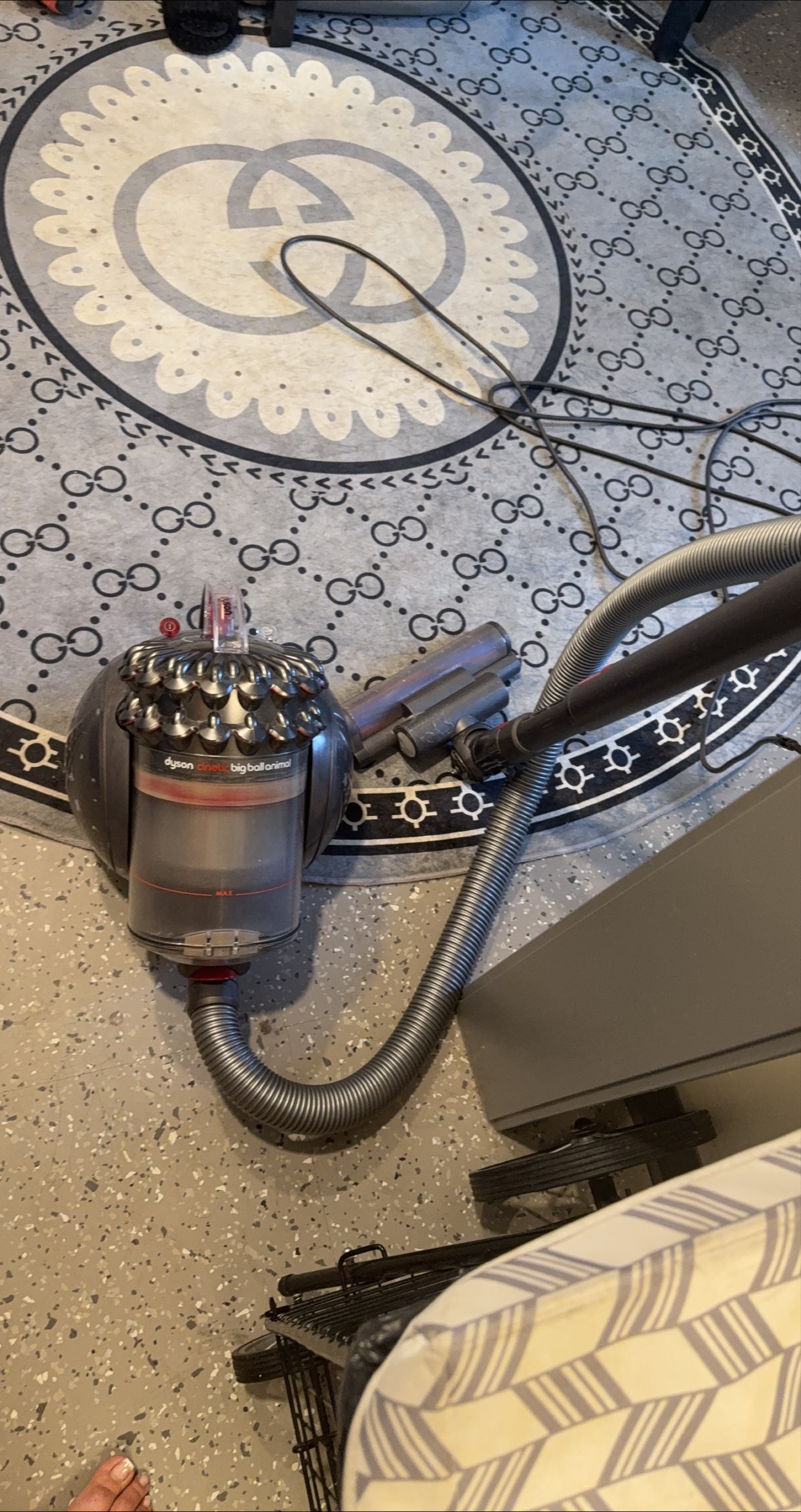 Dyson Big Ball Animal Vacuum thumbnail