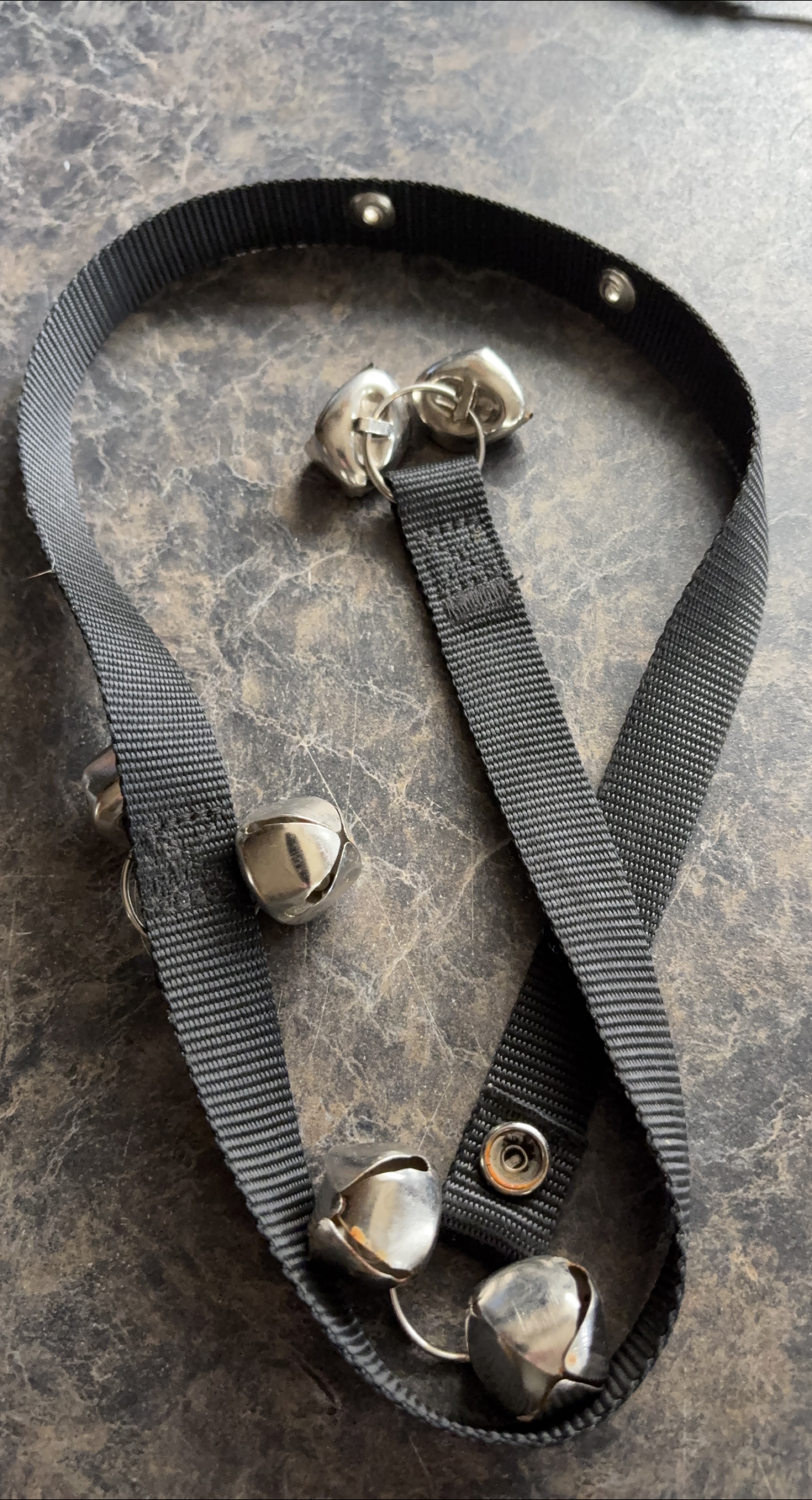 Dog Doorbells - Black thumbnail