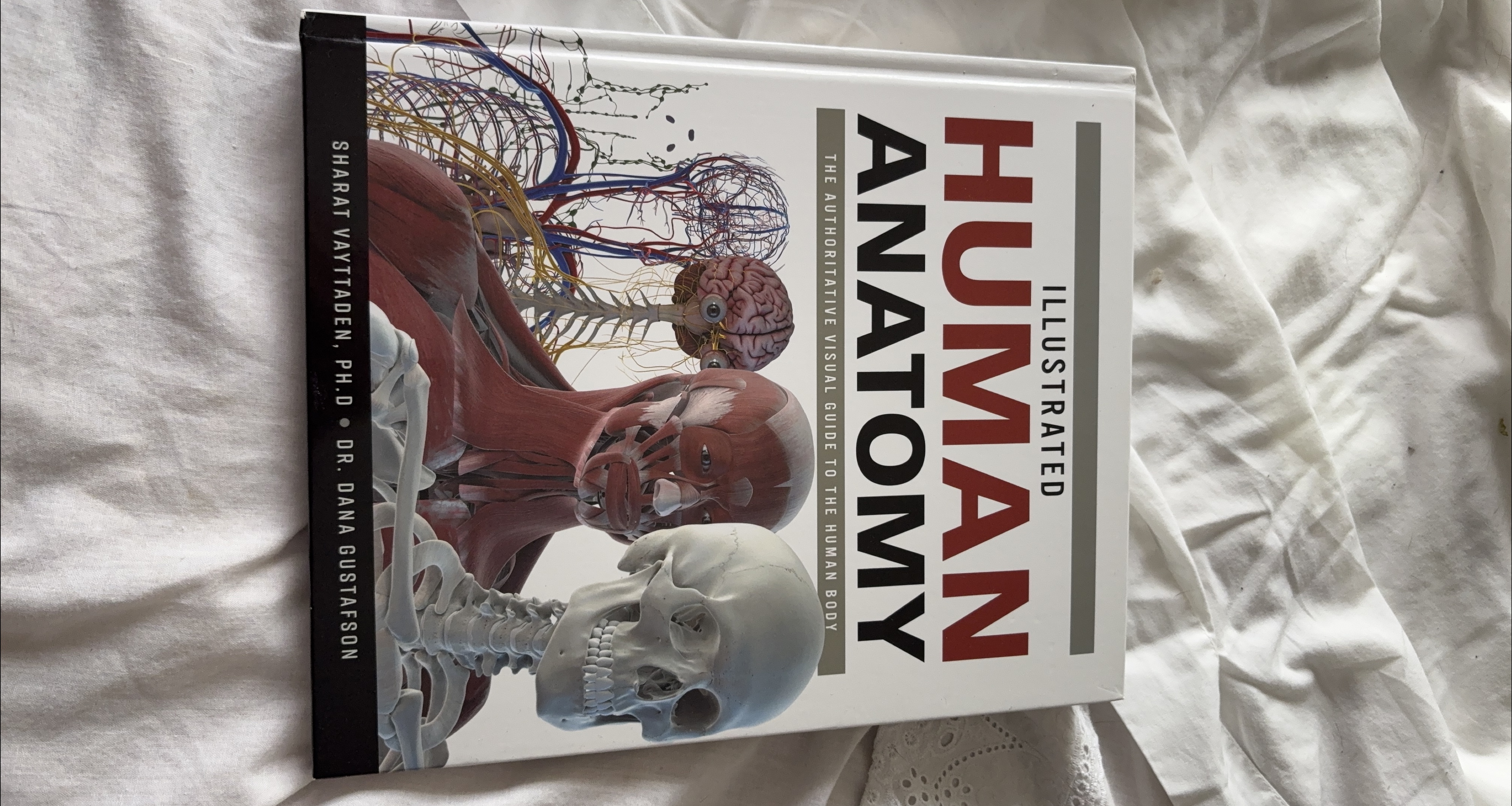 Illustrated Human Anatomy Book thumbnail