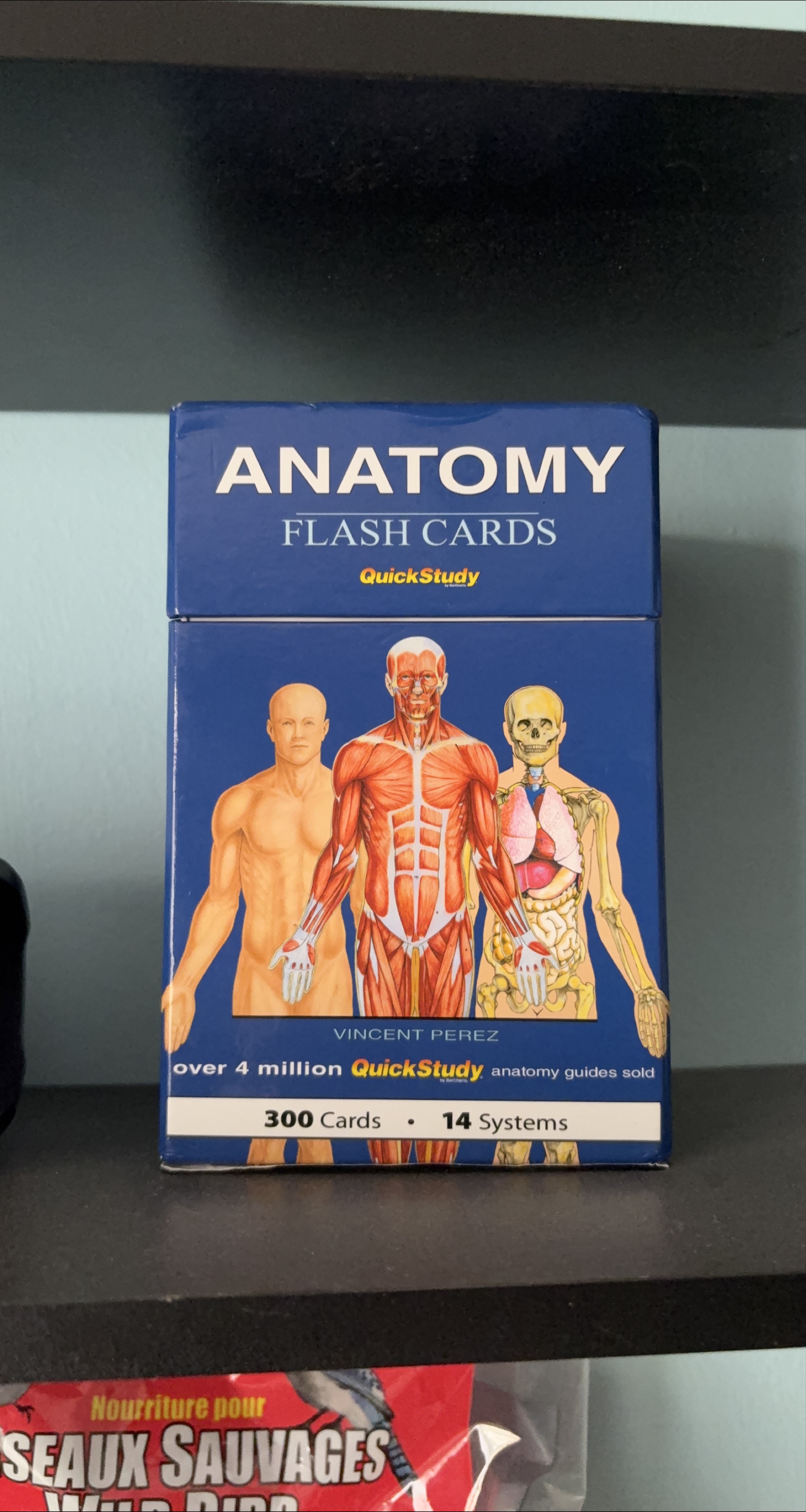 Anatomy Flash Cards QuickStudy by Vincent Perez thumbnail