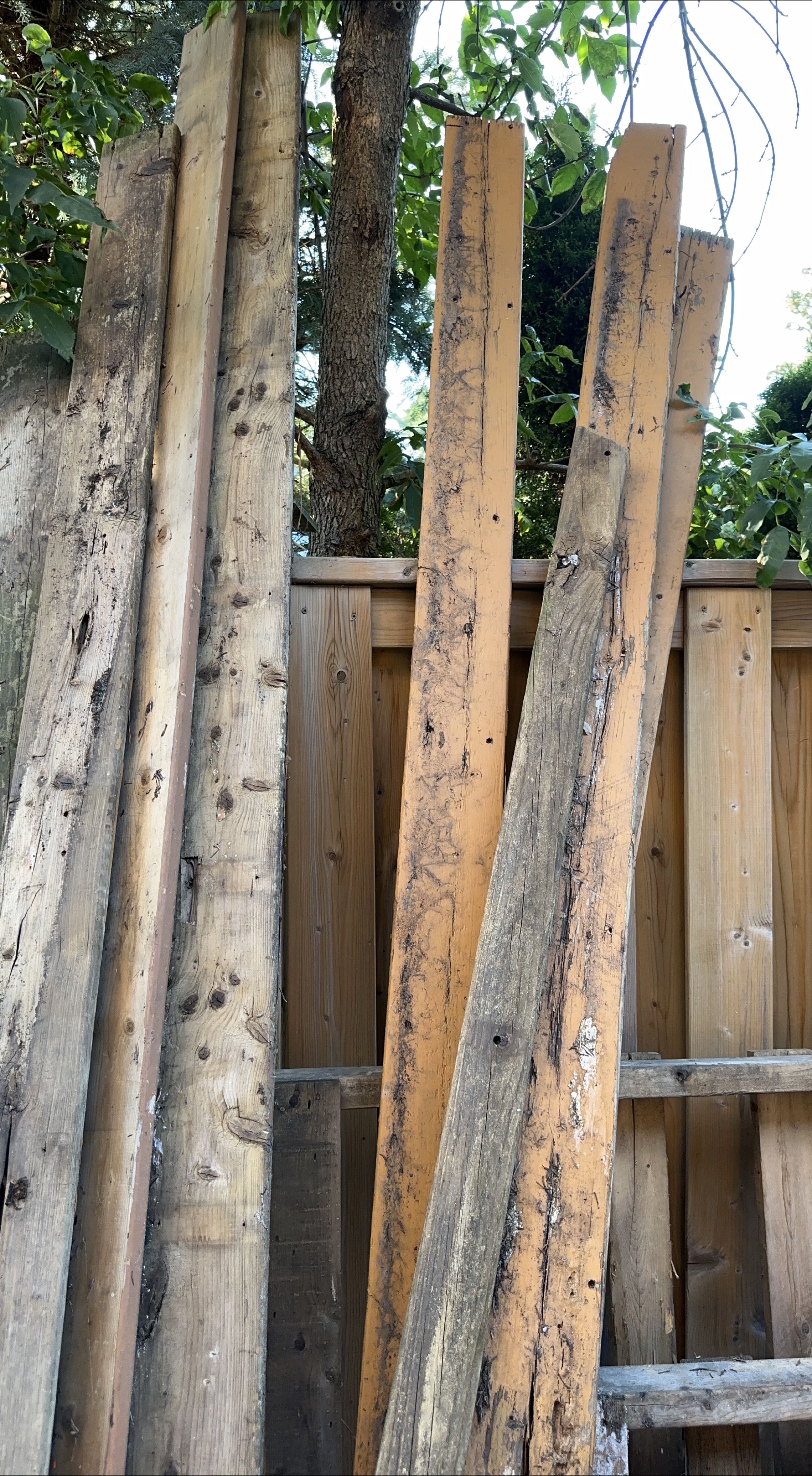 Wood Planks for DIY Projects thumbnail