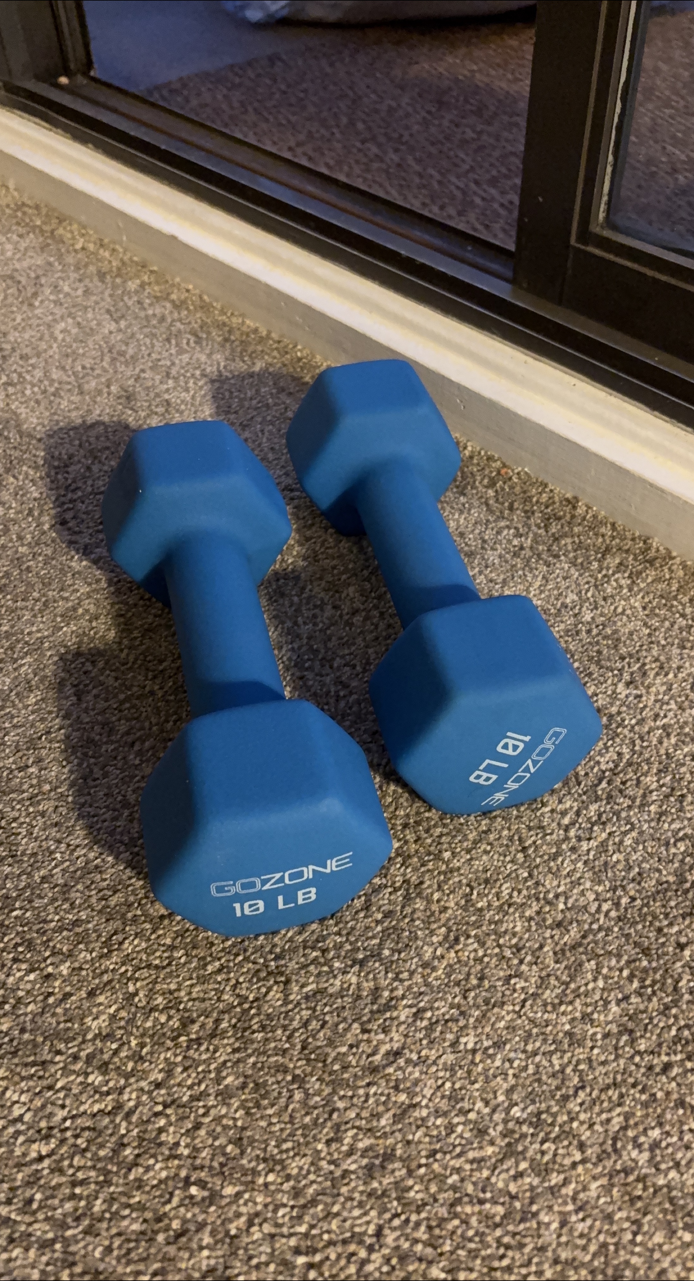 GoZone 10 lb Dumbbells - Pair thumbnail