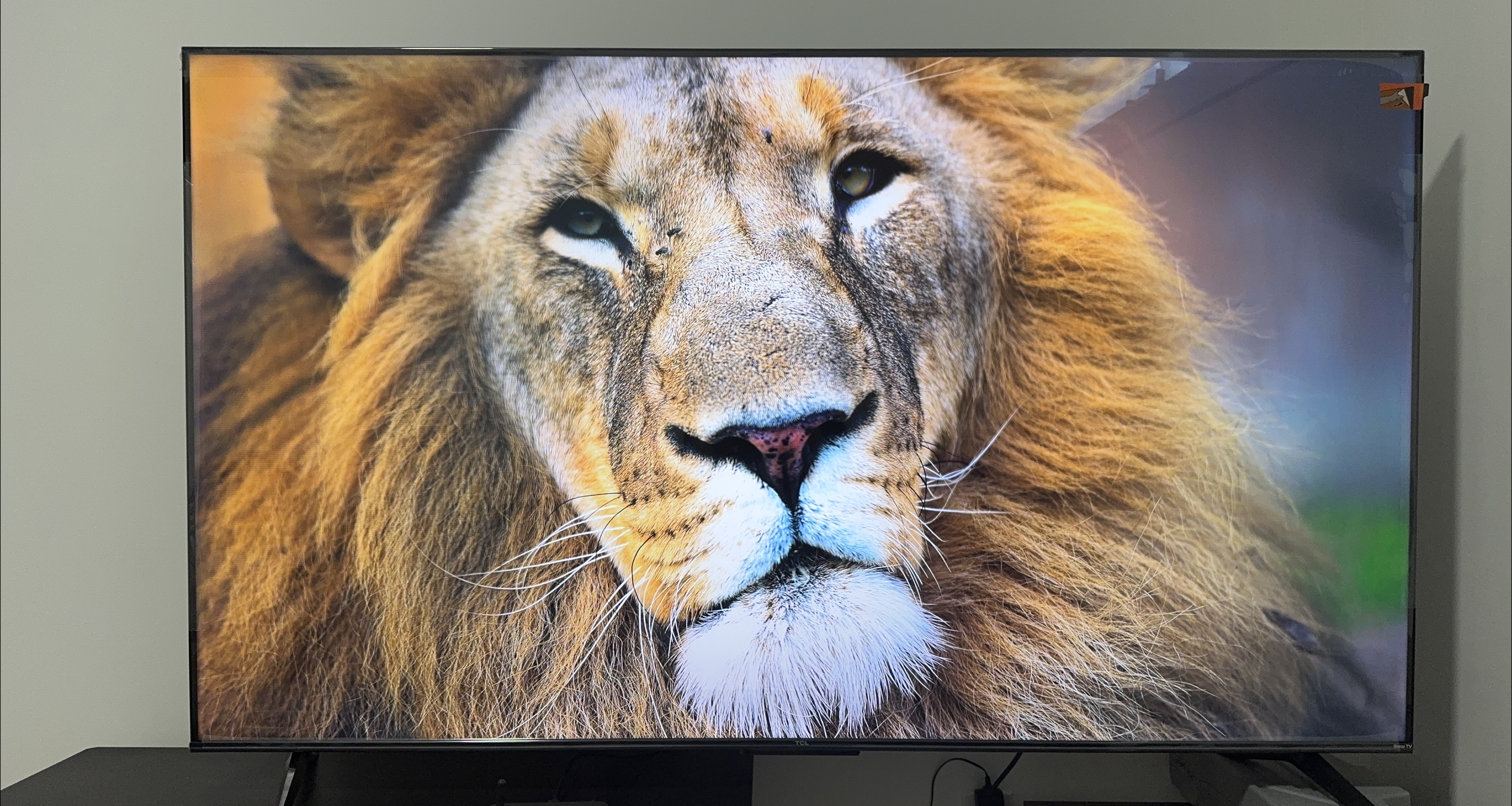 TCL 65” like brand new