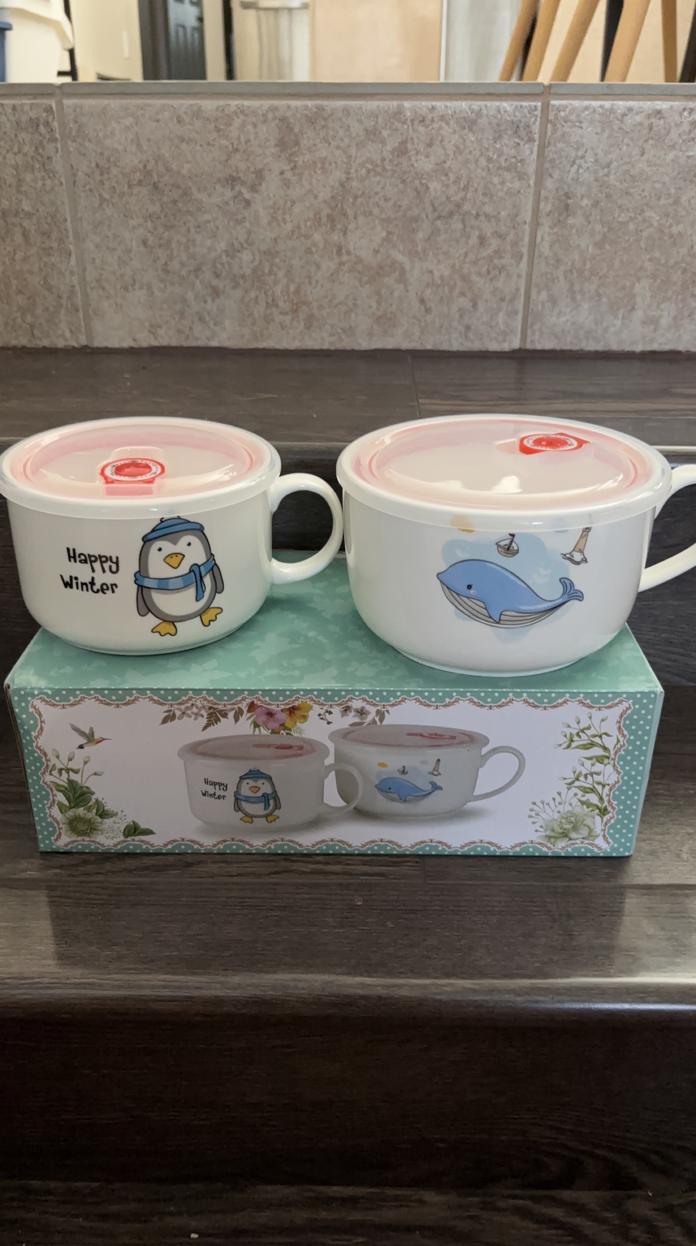 Set of 2 Cartoon Character Soup Bowls with Lids