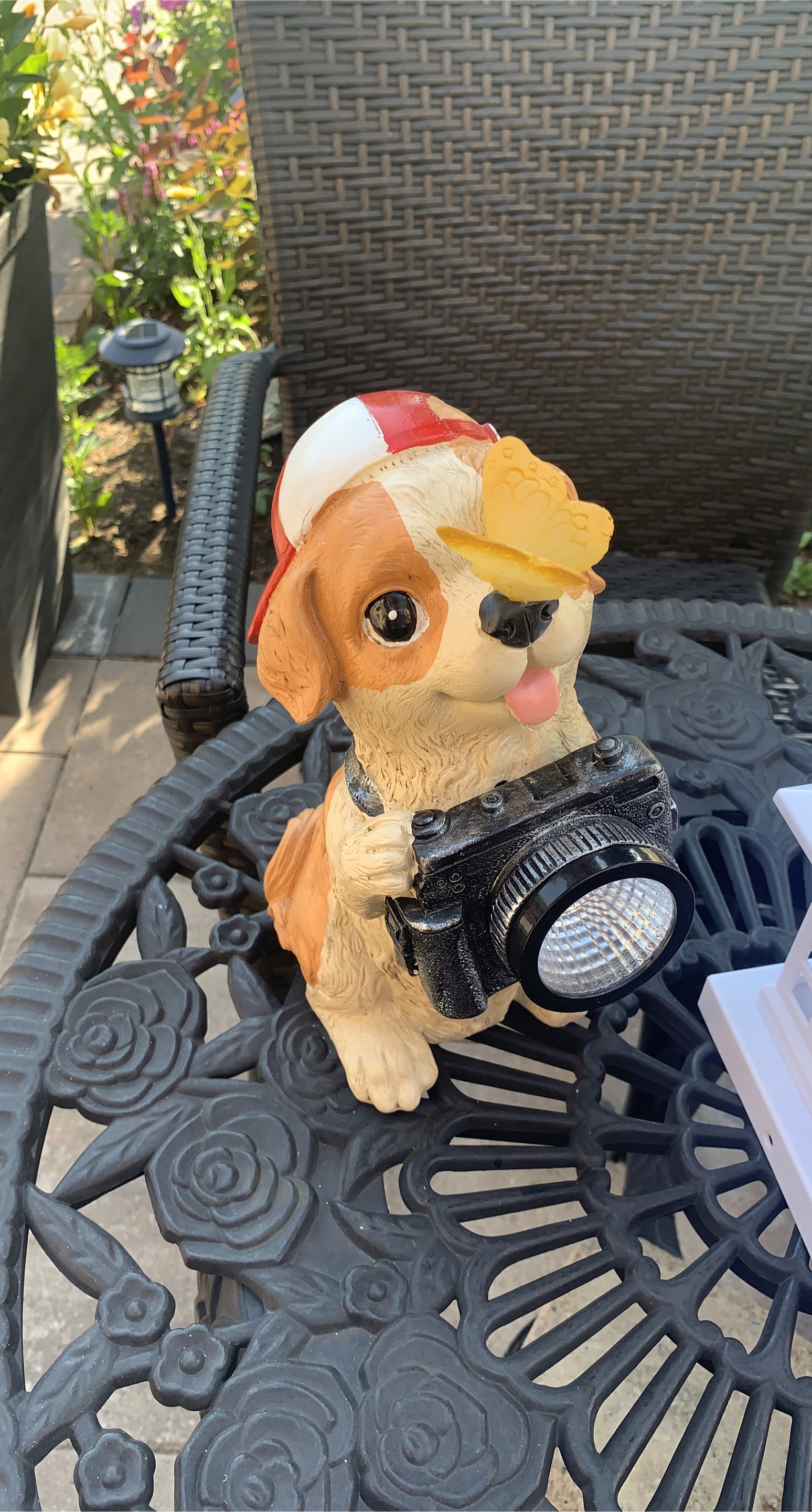 Dog Holding Camera Garden Statue thumbnail