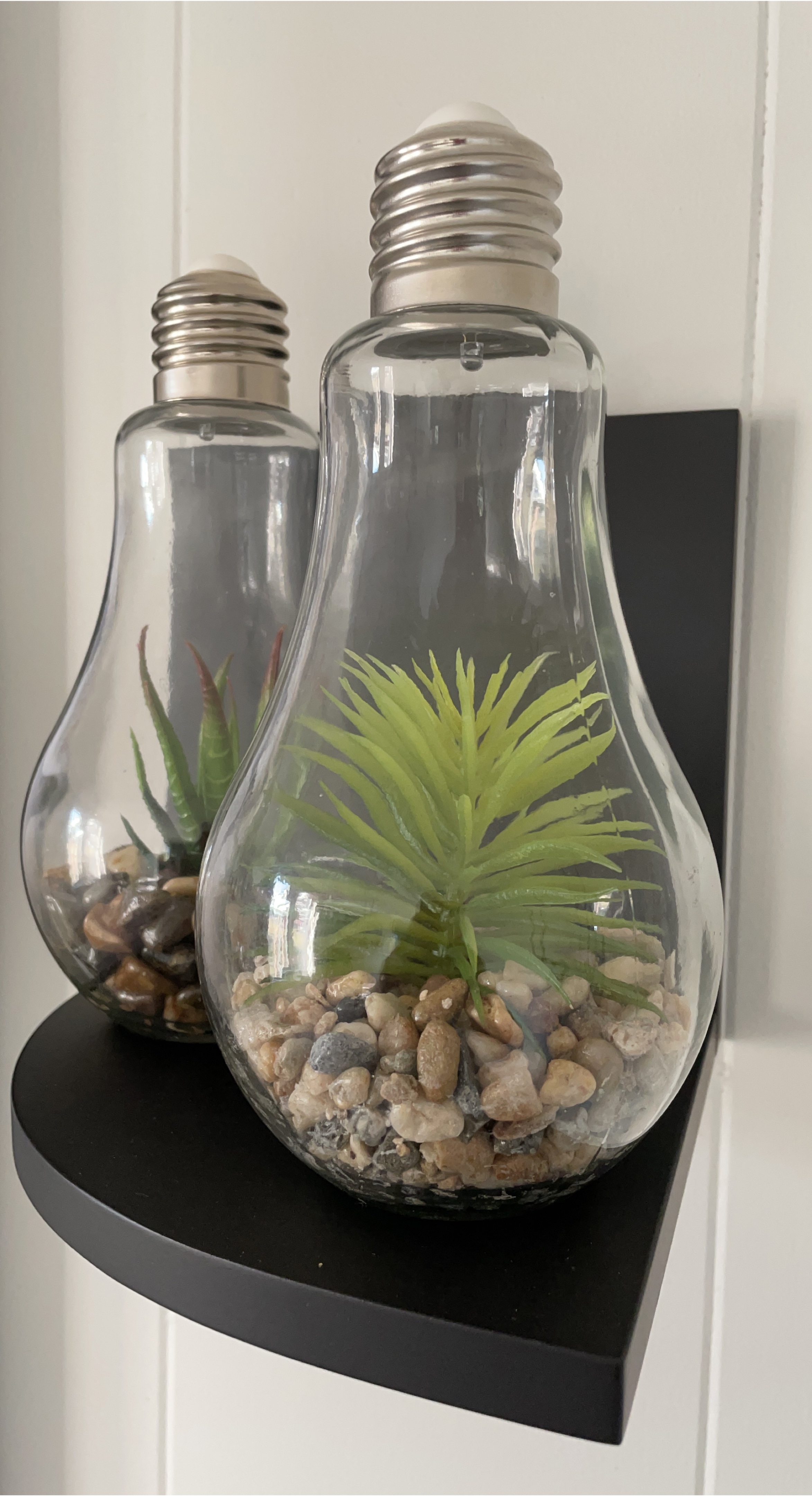 Decorative Light Bulb Terrarium thumbnail