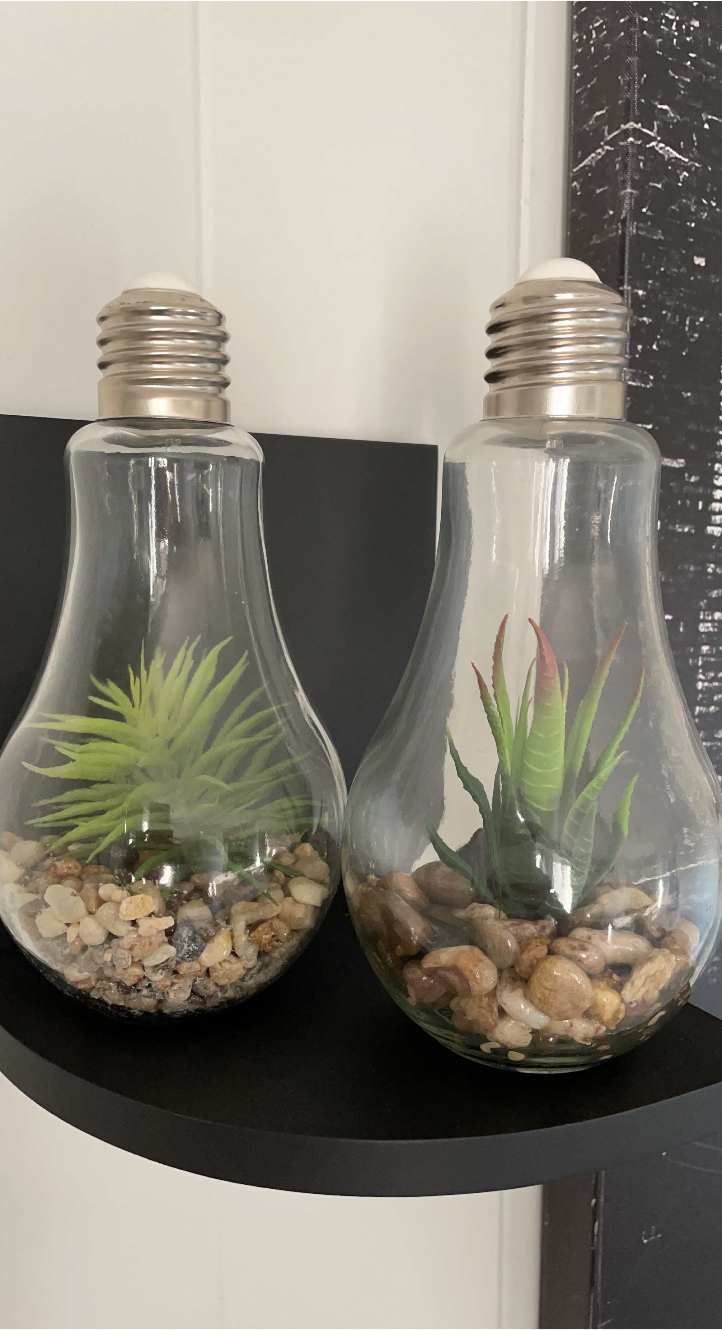 Light Bulb Terrarium with Artificial Plant thumbnail