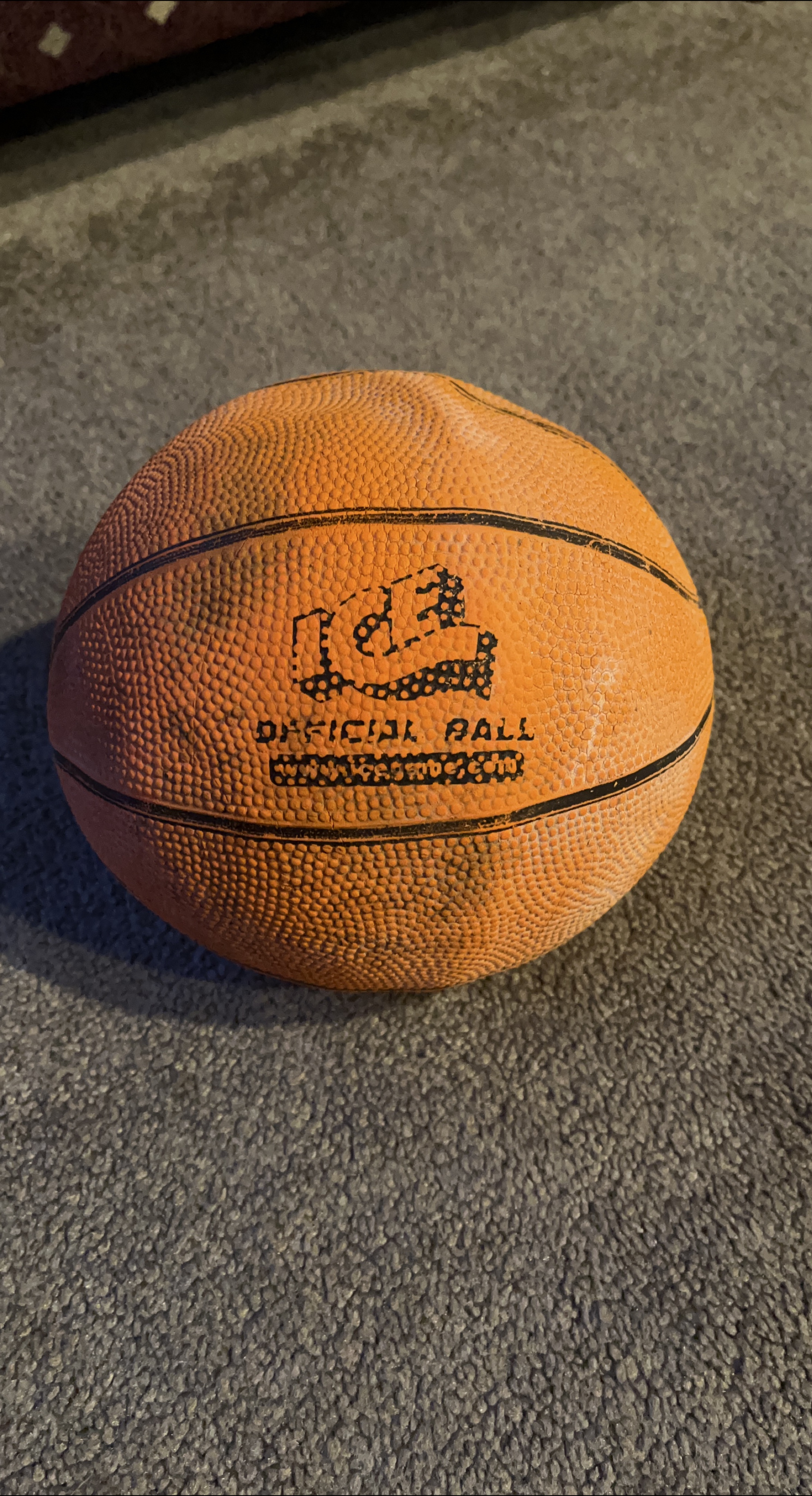 Official Basketball