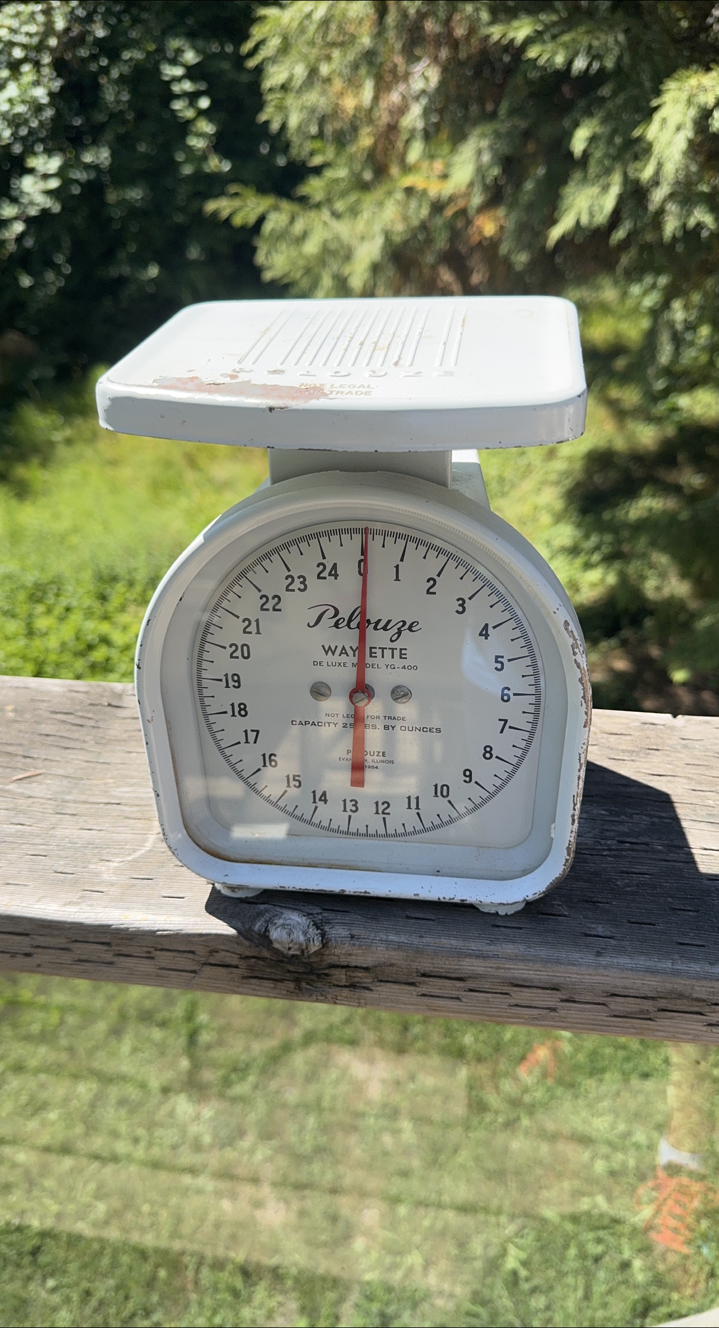 Pelouze Wayette Deluxe Kitchen Scale thumbnail