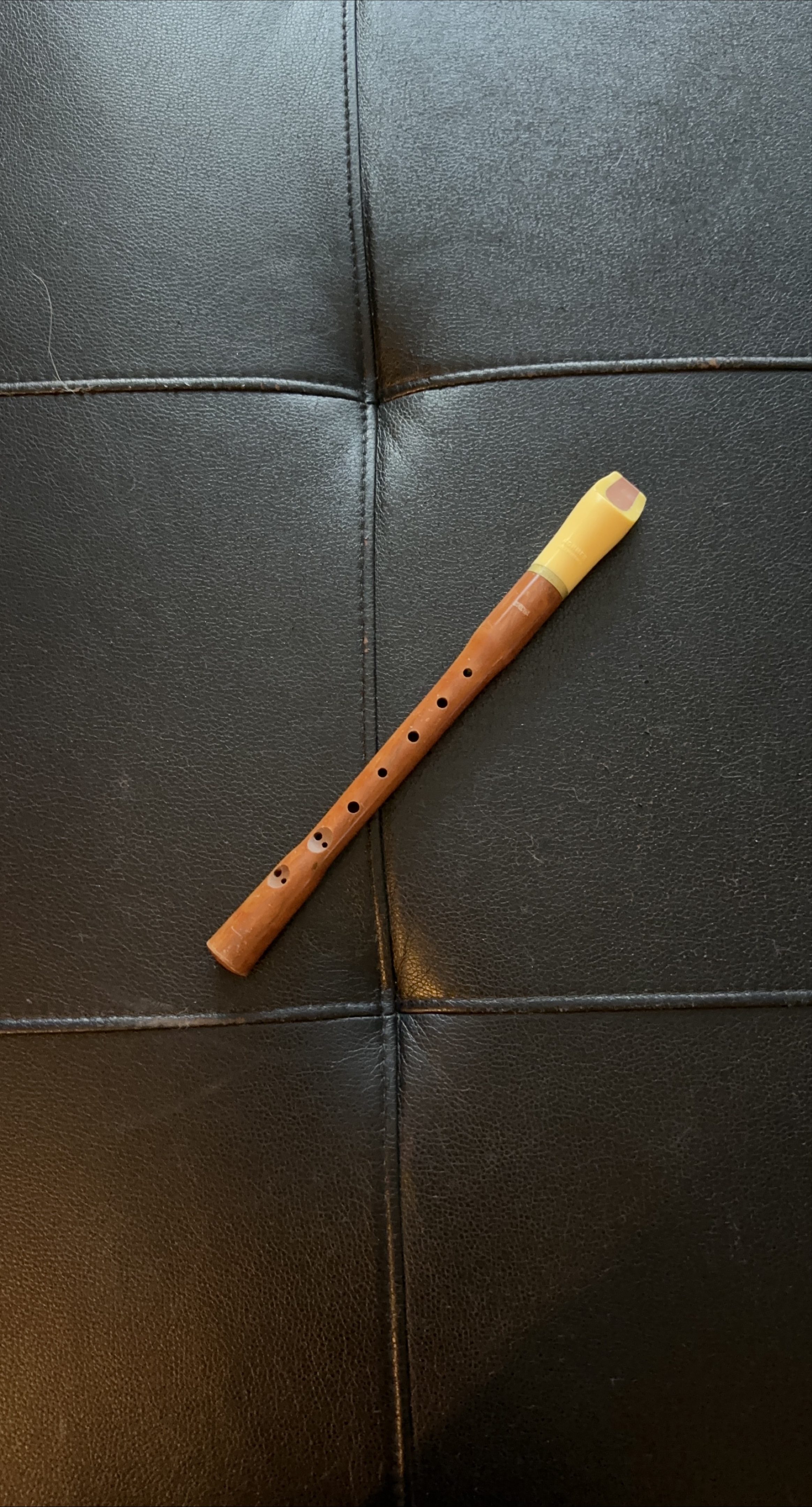 Hohner Recorder thumbnail